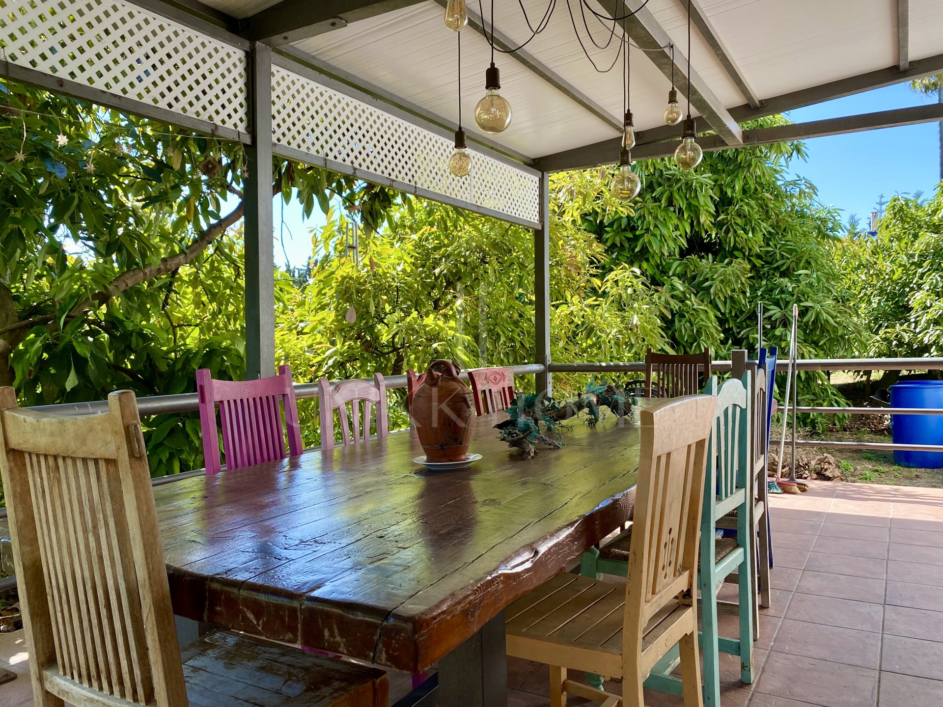 Encantadora Finca Rústica Renovada con Piscina Privada y Producción de Arboles Frutales en El Padrón, Estepona