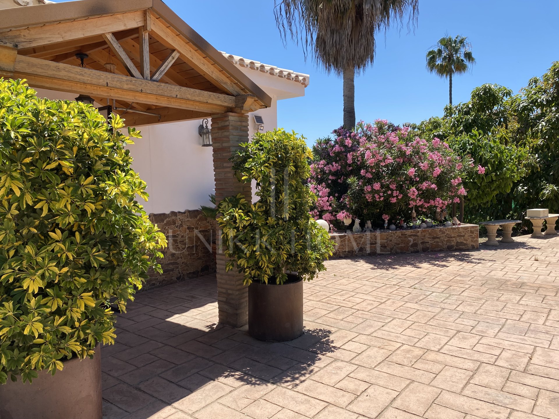 Encantadora Finca Rústica Renovada con Piscina Privada y Producción de Arboles Frutales en El Padrón, Estepona