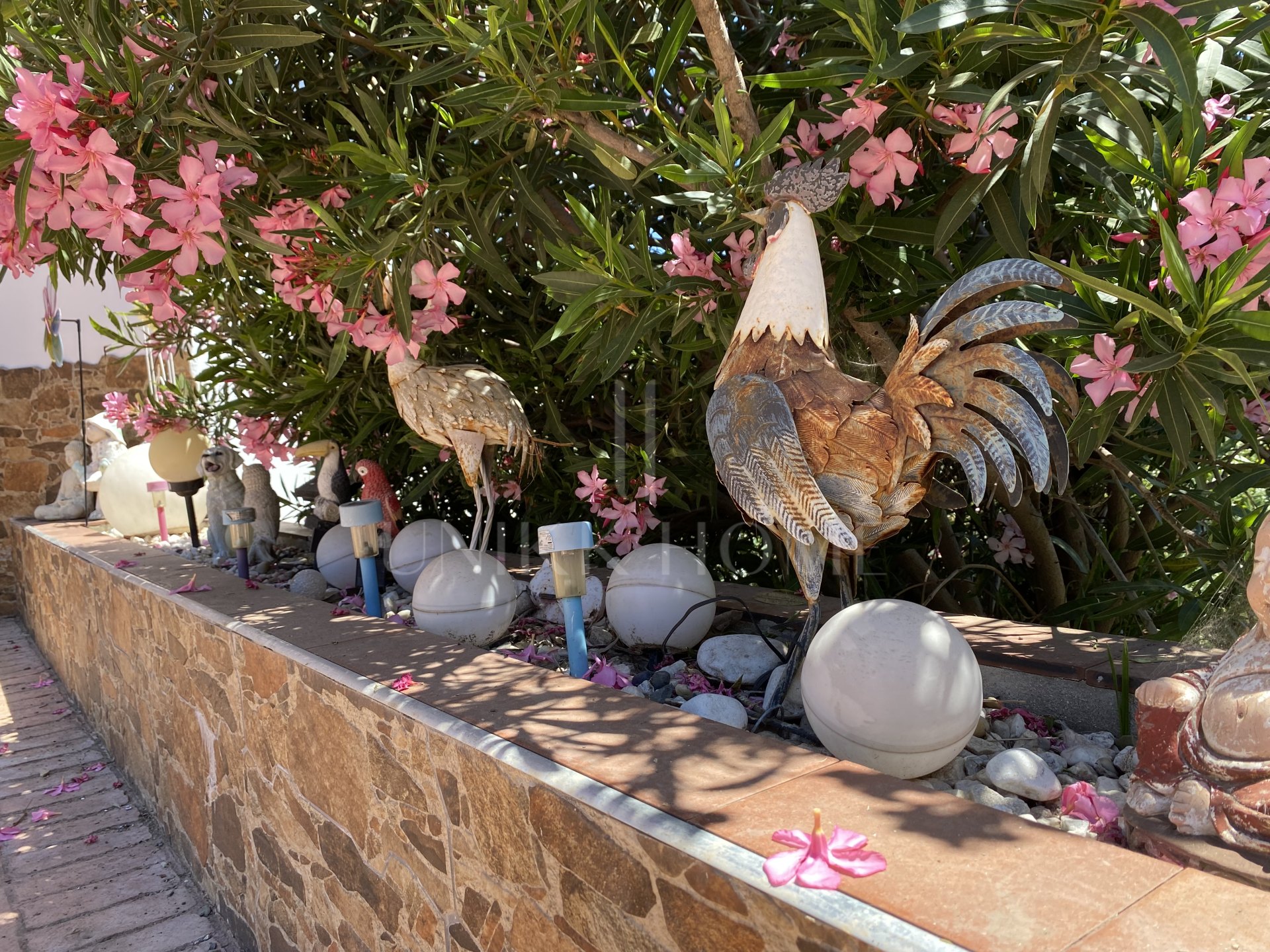 Encantadora Finca Rústica Renovada con Piscina Privada y Producción de Arboles Frutales en El Padrón, Estepona