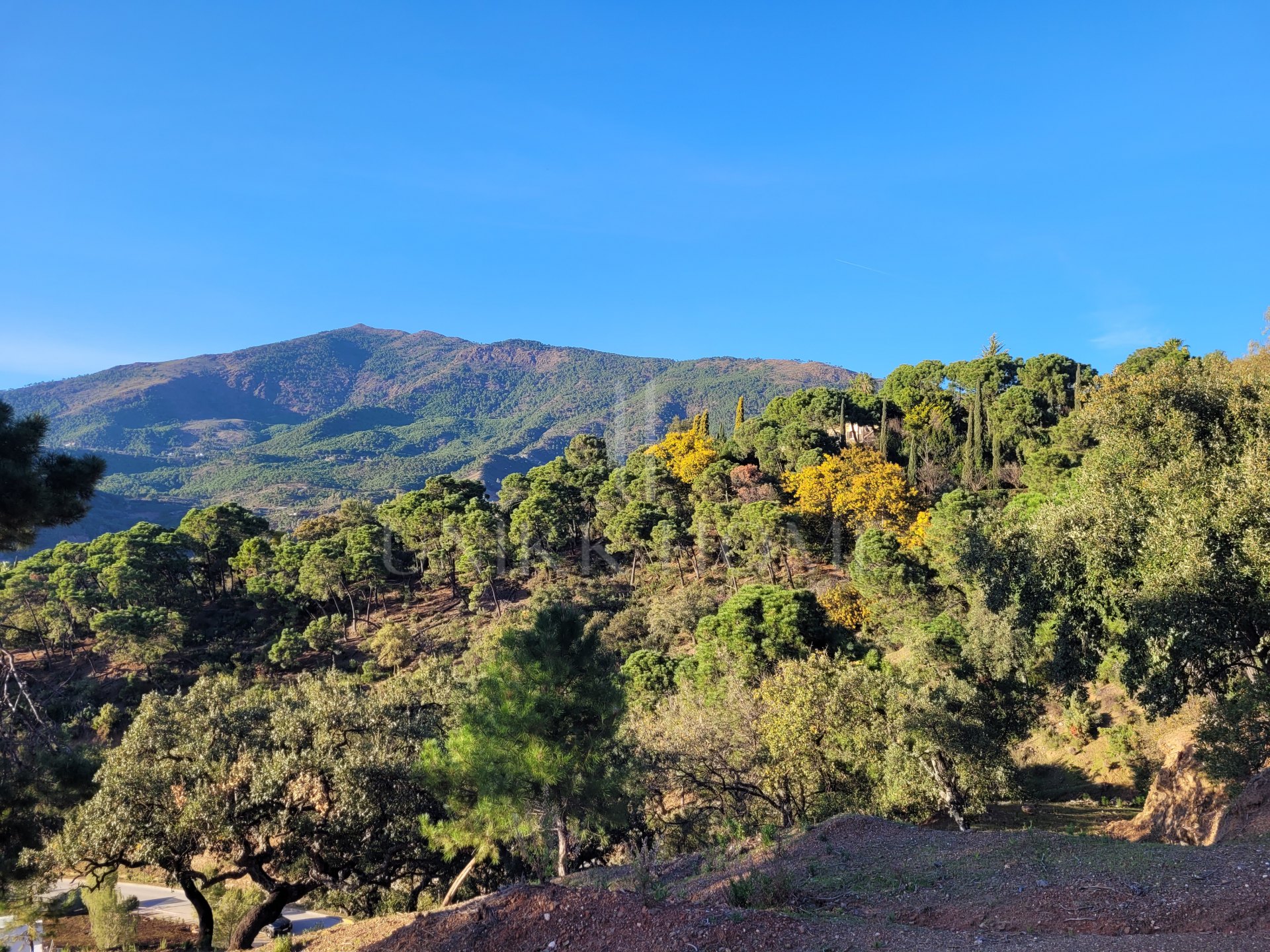 Exceptional Plot in the Exclusive La Zagaleta Community