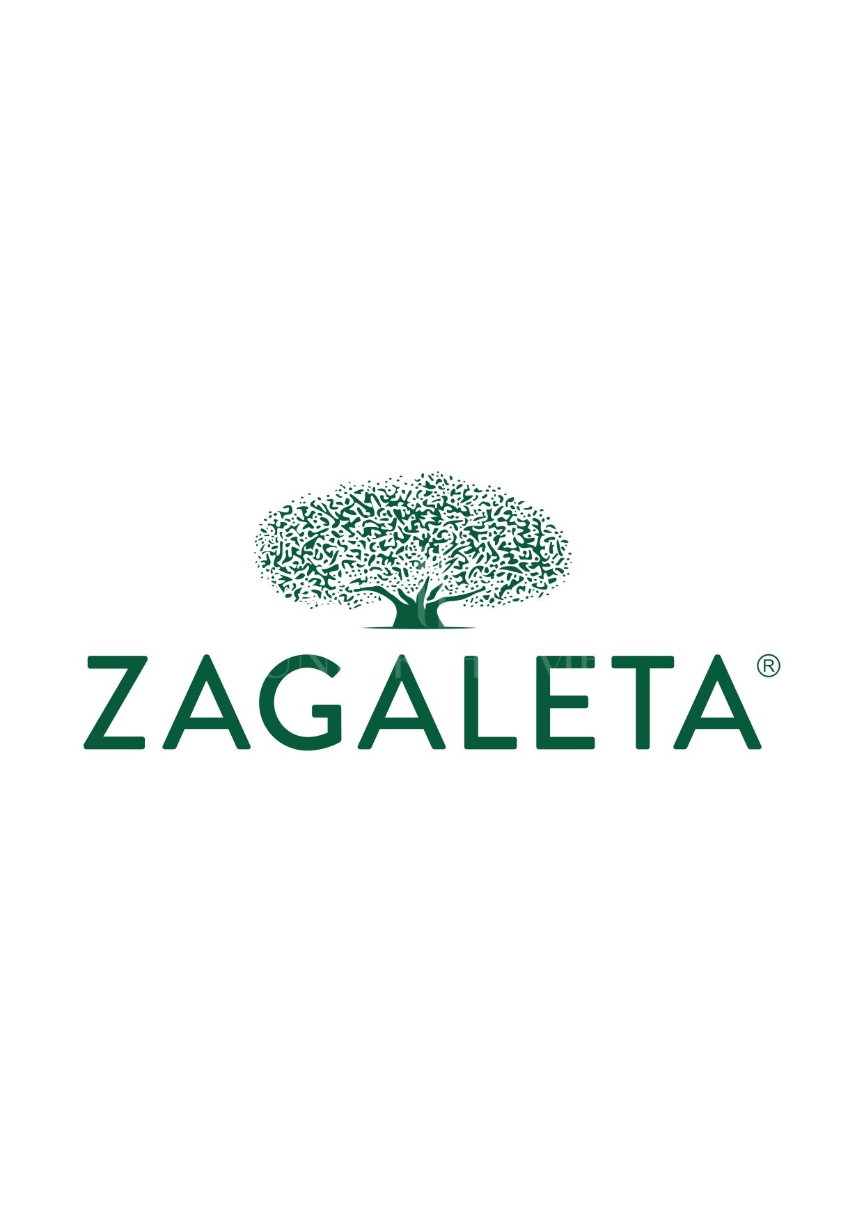 Exceptional Plot in the Exclusive La Zagaleta Community