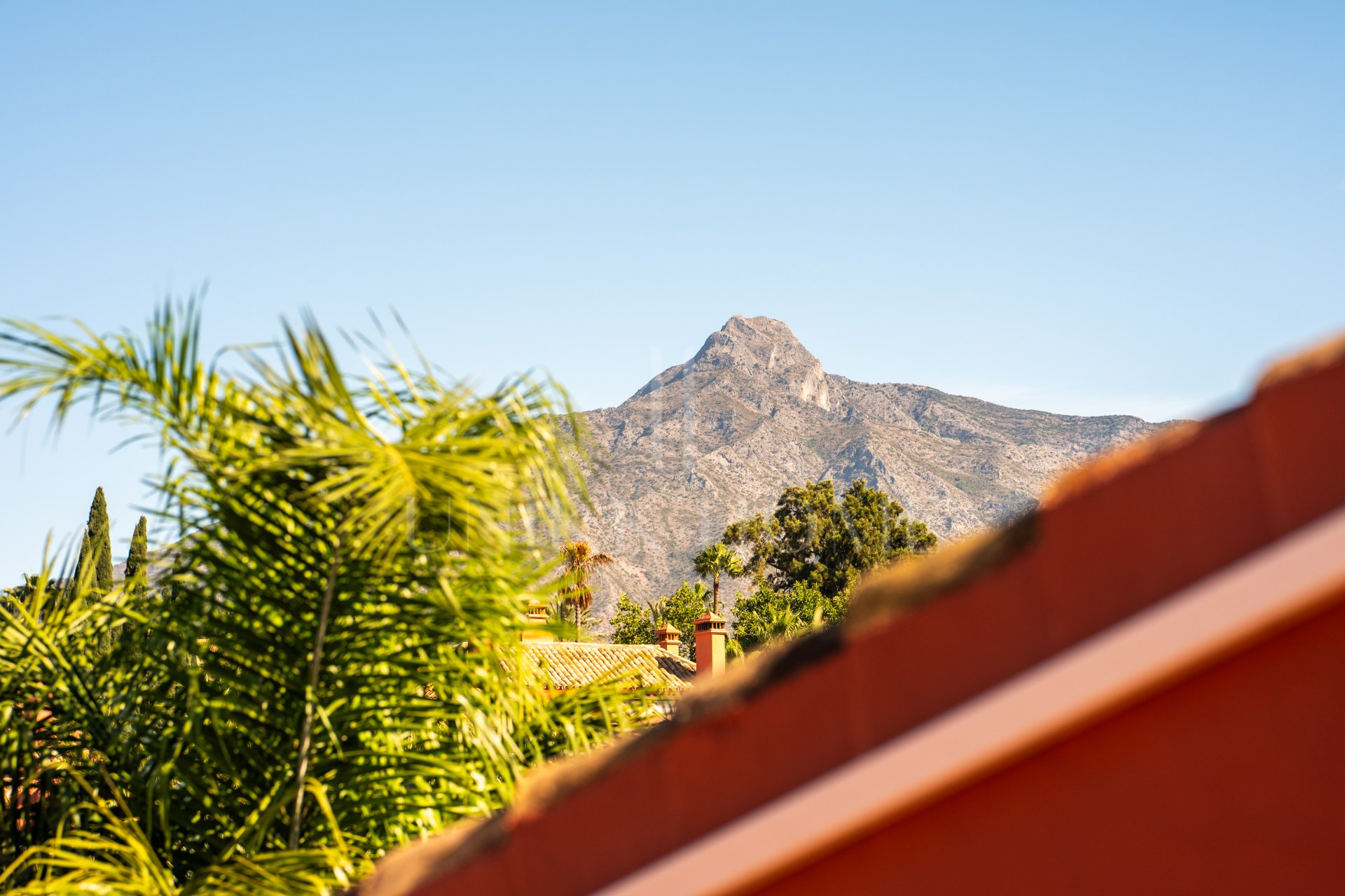 Villa con apartamento independiente y despacho en la azotea junto a Puerto Banús