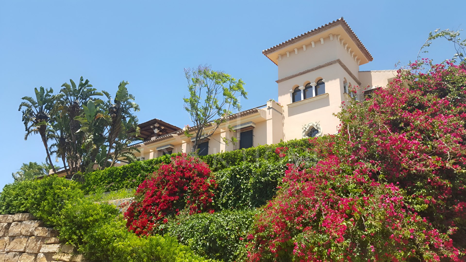 Exclusiva finca en Reinoso, Estepona