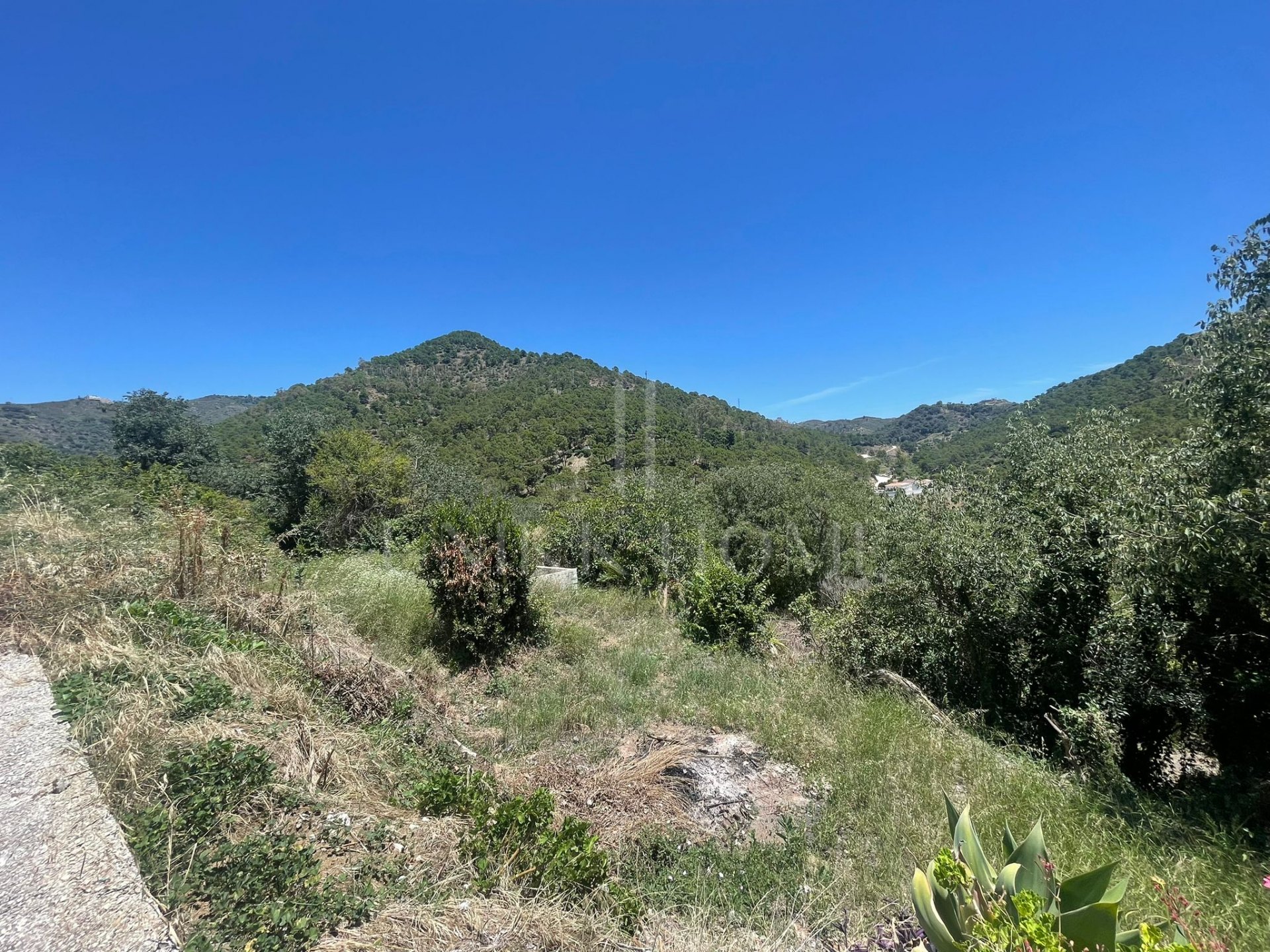 Plot for sale in Ojen