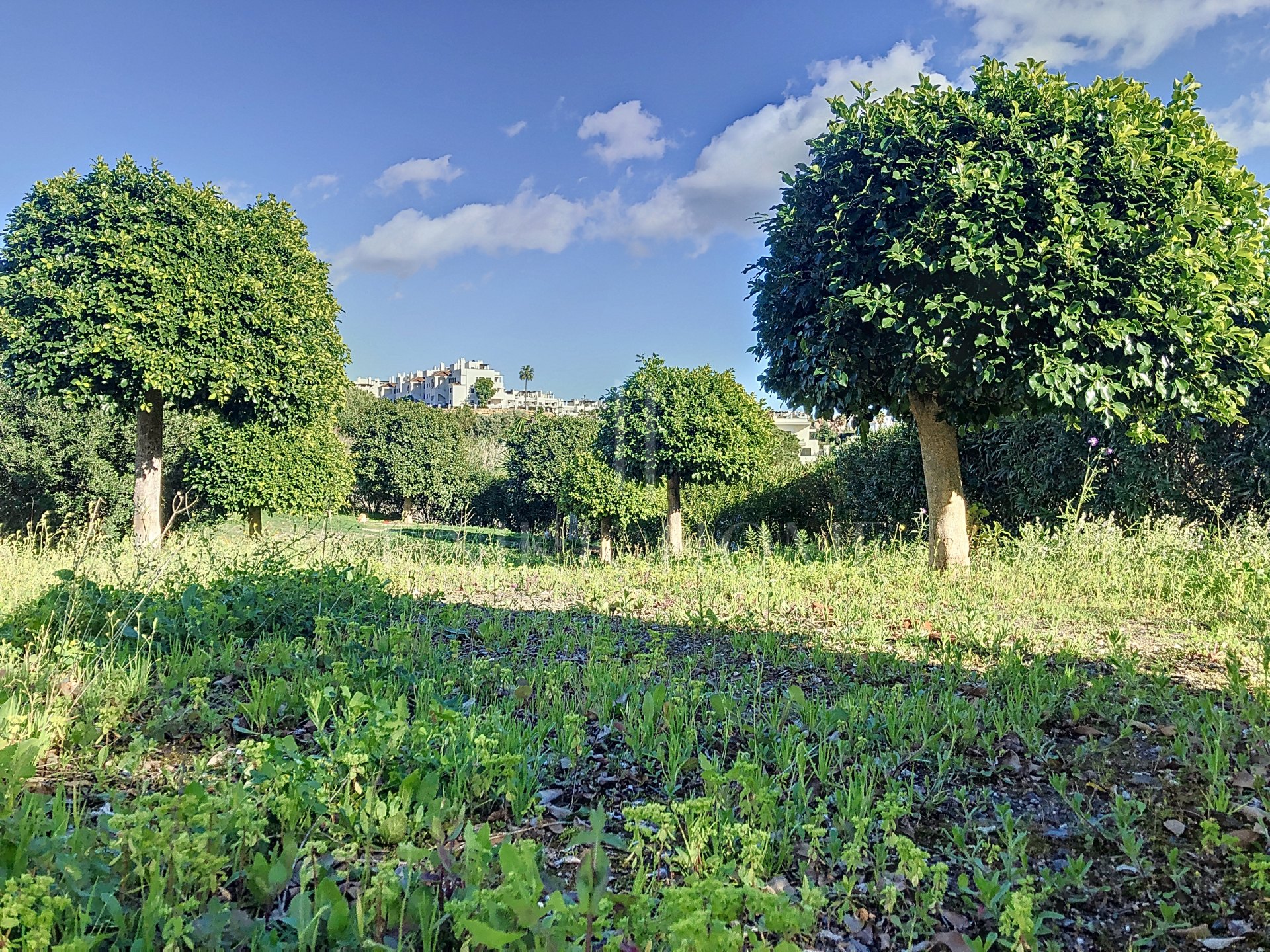 Urban Plot with Panoramic Views in La Resina Golf, East Estepona