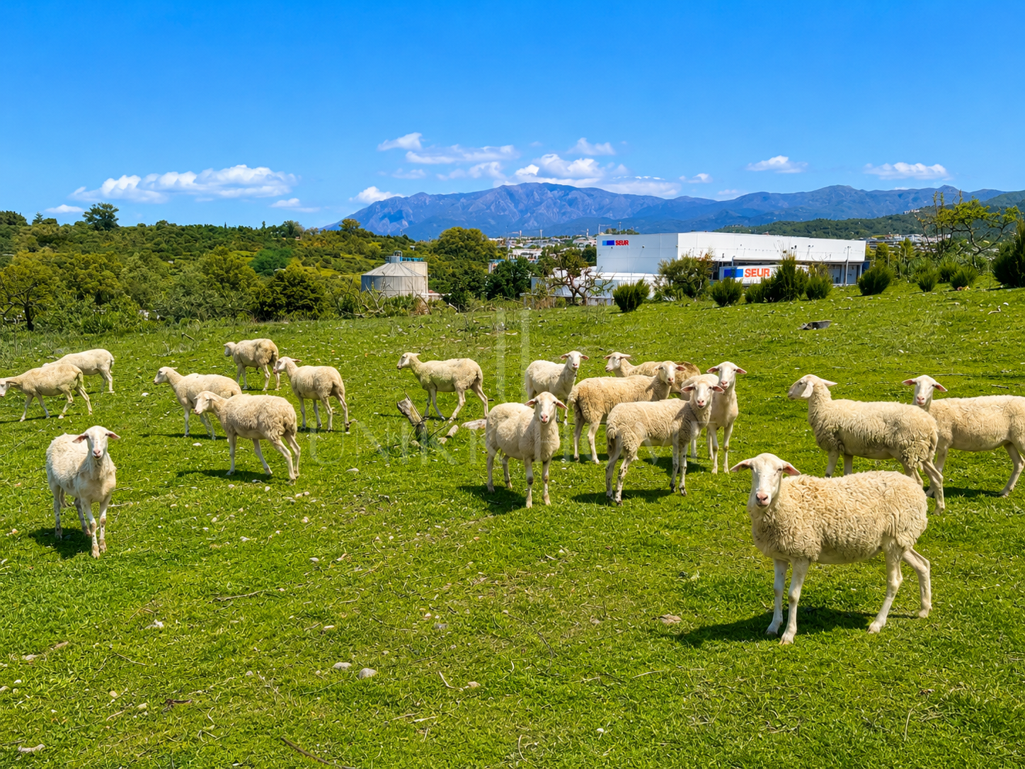 Finca Andaluza con Vistas al Mar y 30.000 m² de Terreno en Guadalmansa - Cancelada, Estepona