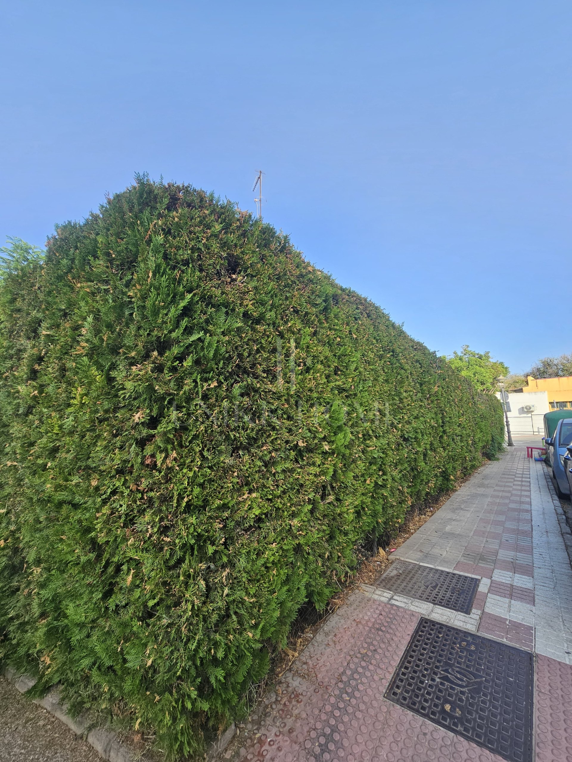 Five-bedroom terraced house with garden, 500 metres from the beach in Estepona