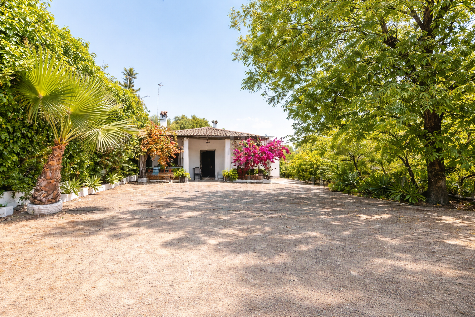 Charming Andalusian Country Home in El Padrón – Estepona