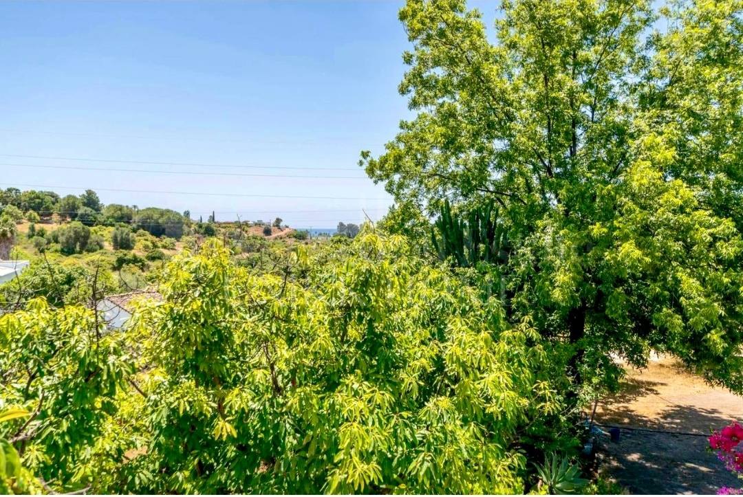 Charming Andalusian Country Home in El Padrón – Estepona