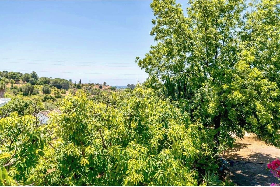 Charming Andalusian Country Home in El Padrón – Estepona