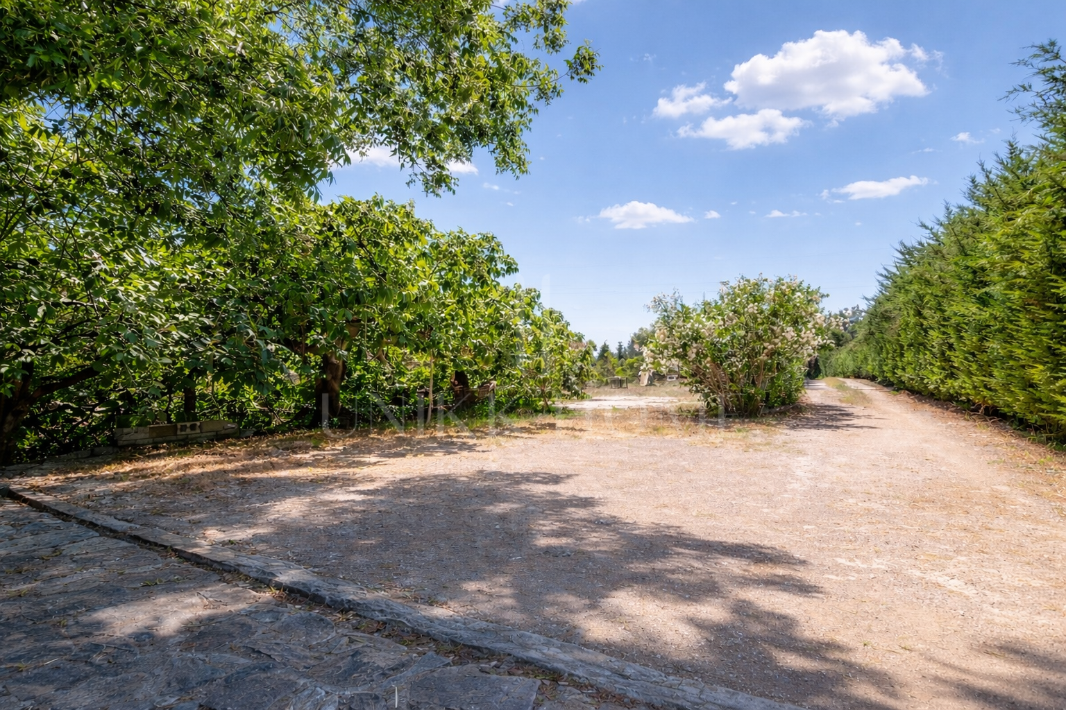 Charming Andalusian Country Home in El Padrón – Estepona