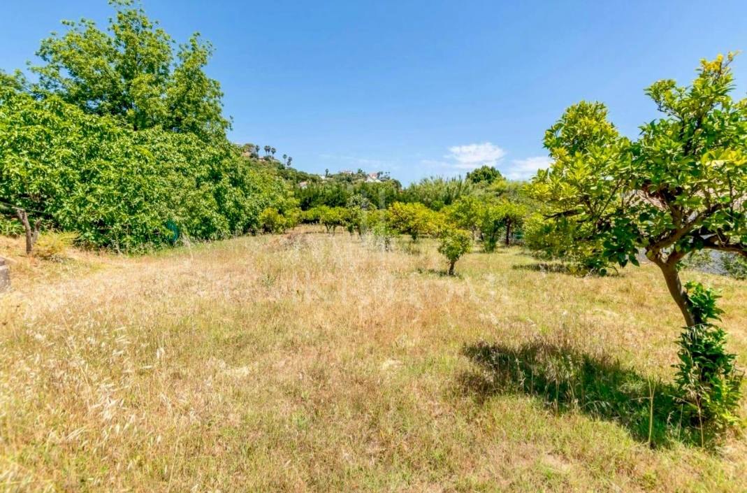 Charming Andalusian Country Home in El Padrón – Estepona