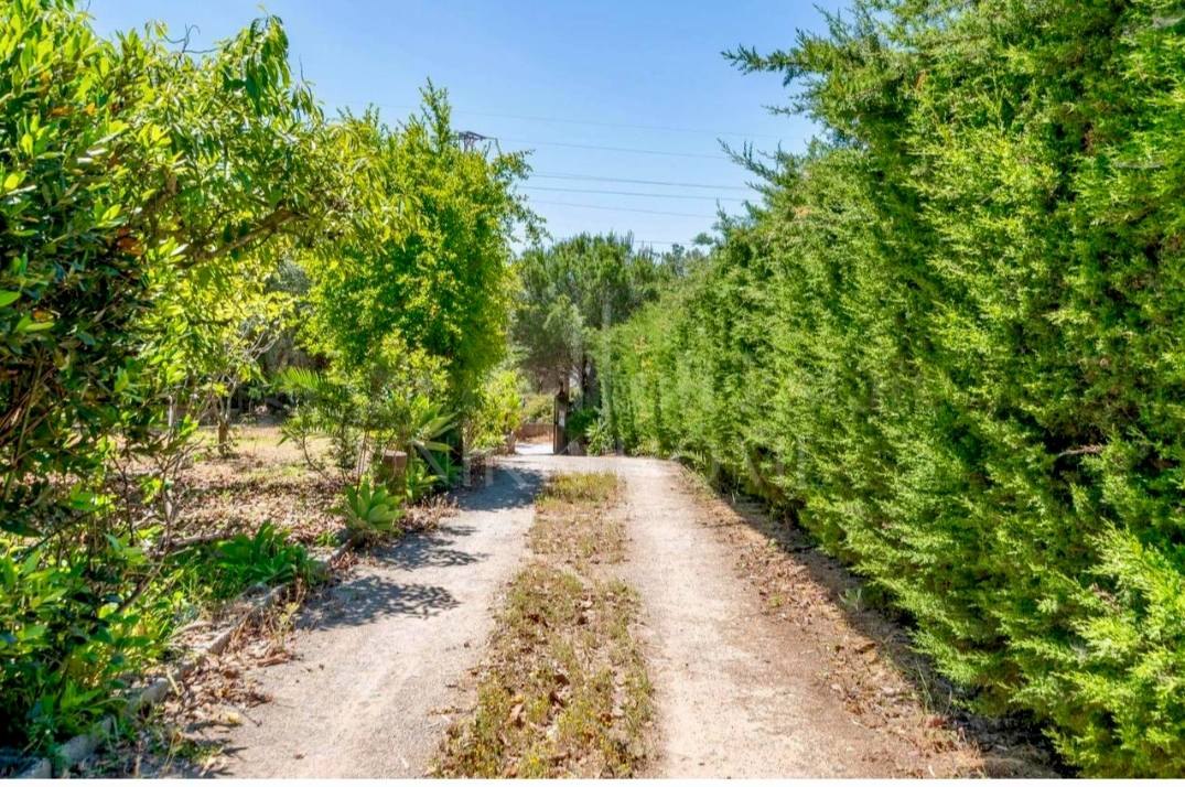 Charming Andalusian Country Home in El Padrón – Estepona