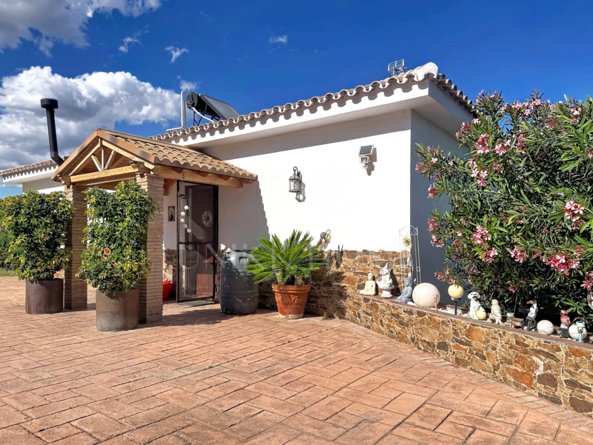 Finca Legalizada con Casa, Apartamento, Piscina y Producción de Aguacates en Las Alberdinas, Estepona