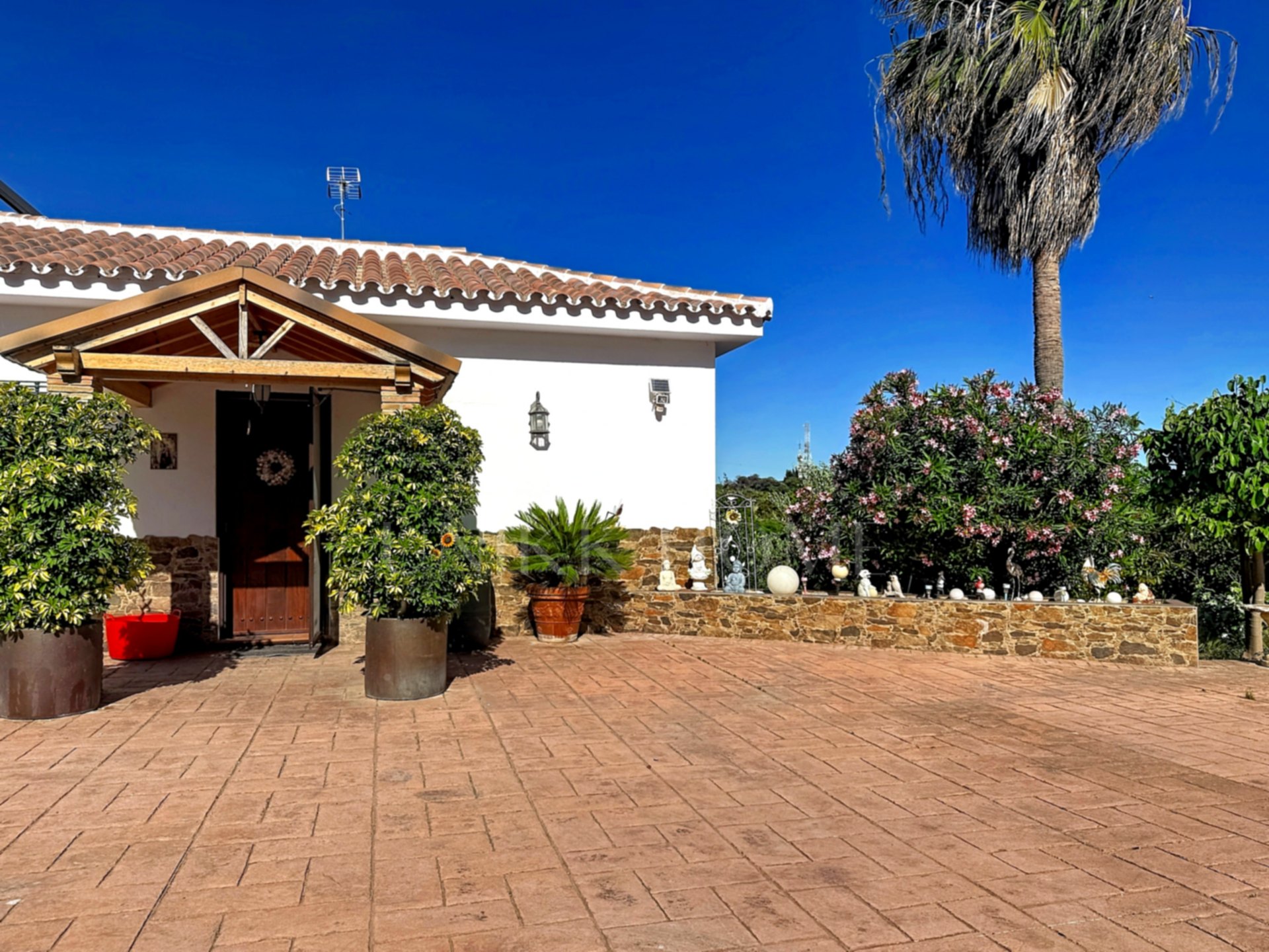 Finca Legalizada con Casa, Apartamento, Piscina y Producción de Aguacates en Las Alberdinas, Estepona