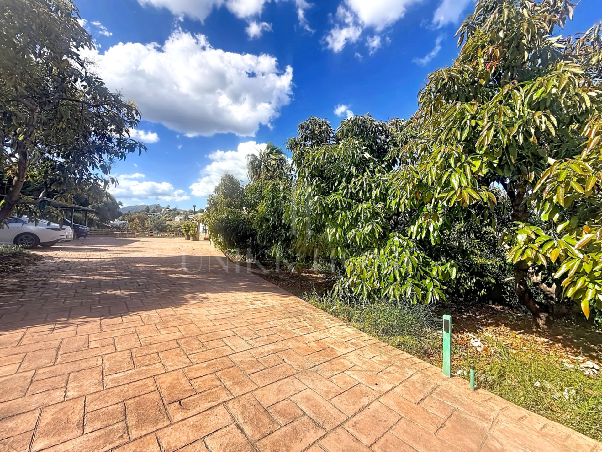 Finca Legalizada con Casa, Apartamento, Piscina y Producción de Aguacates en Las Alberdinas, Estepona