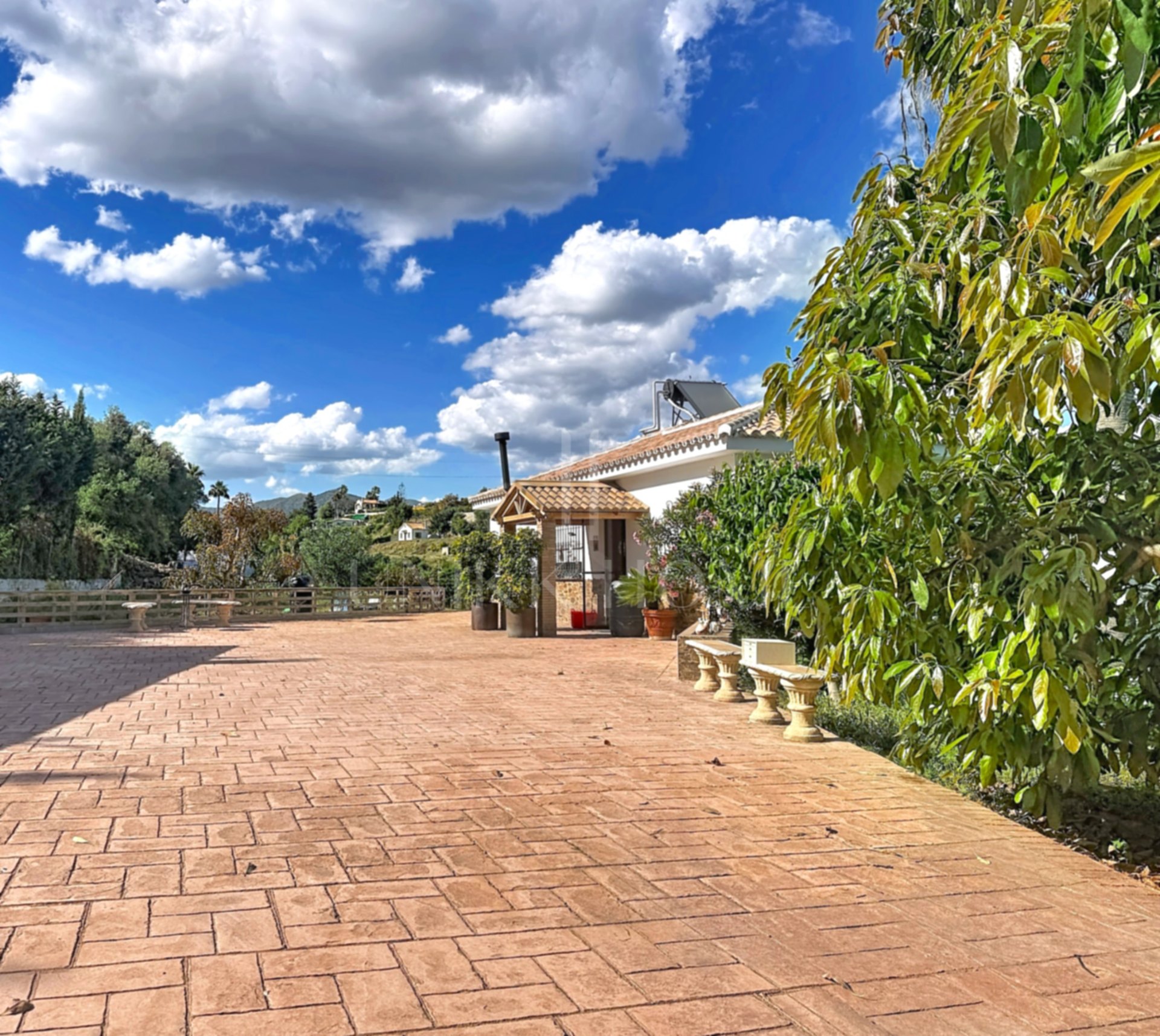 Finca Legalizada con Casa, Apartamento, Piscina y Producción de Aguacates en Las Alberdinas, Estepona