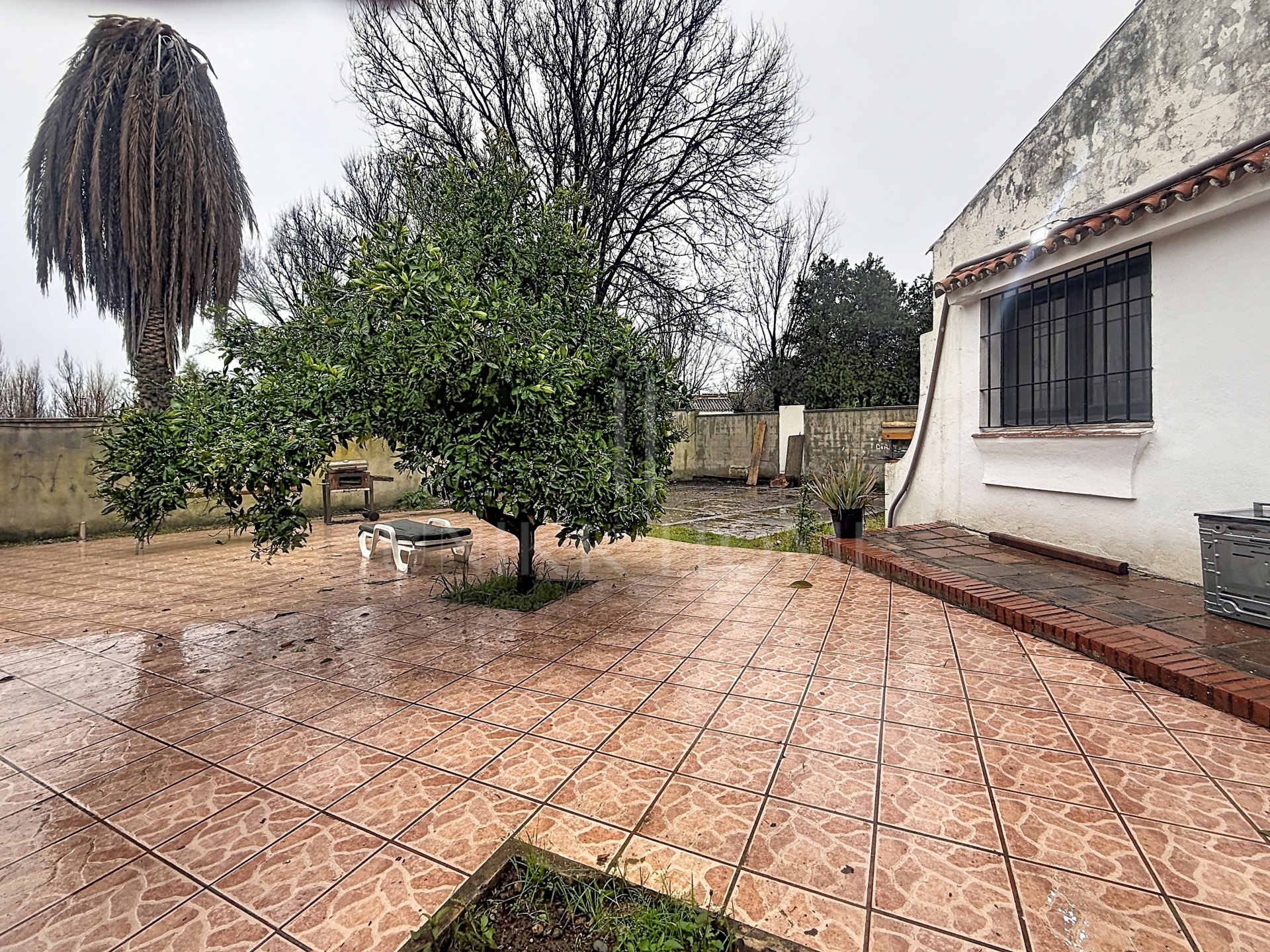 Exclusive beachfront plot to create a luxury villa – New Golden Mile, Estepona