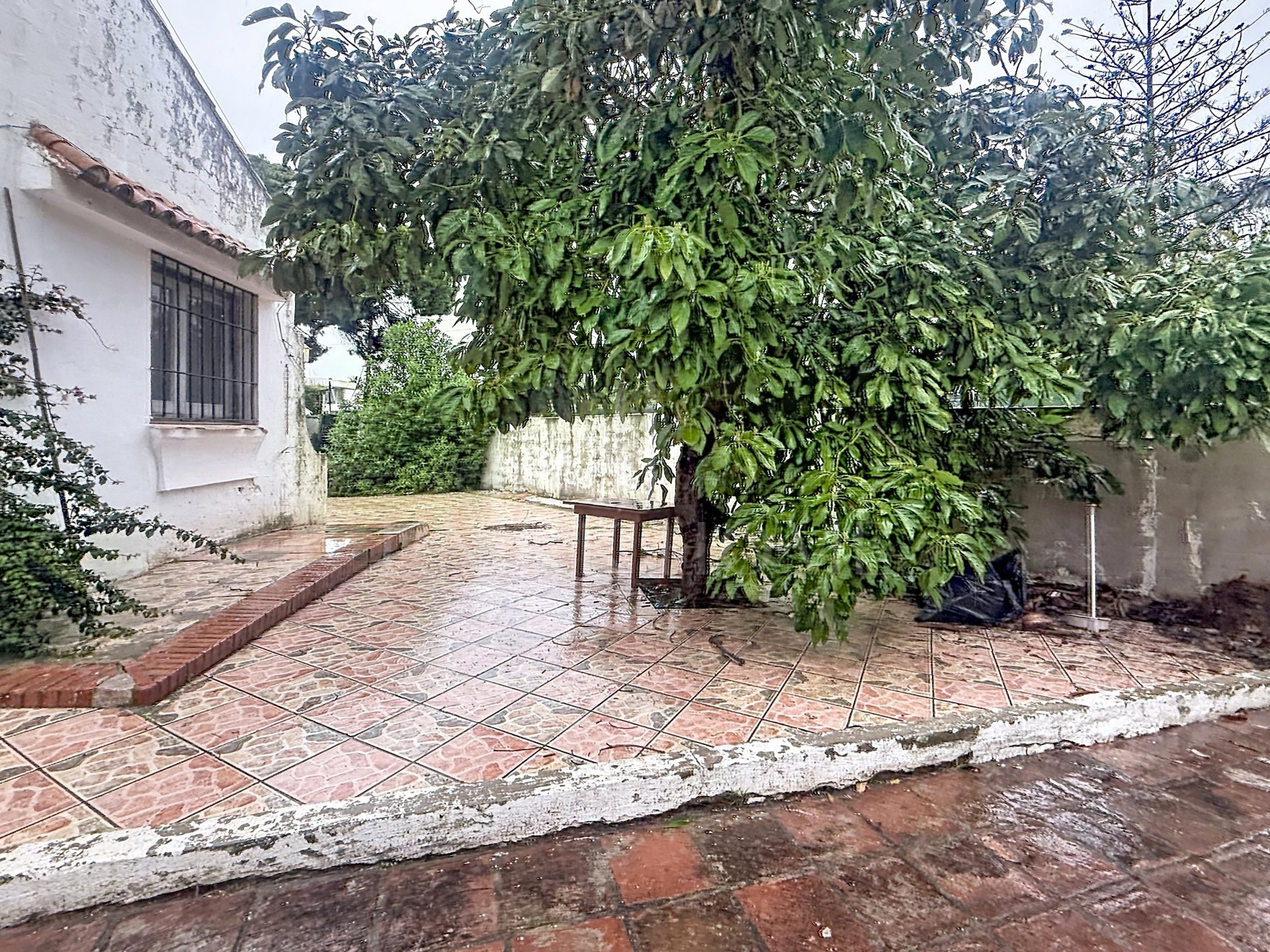 Exclusive beachfront plot to create a luxury villa – New Golden Mile, Estepona