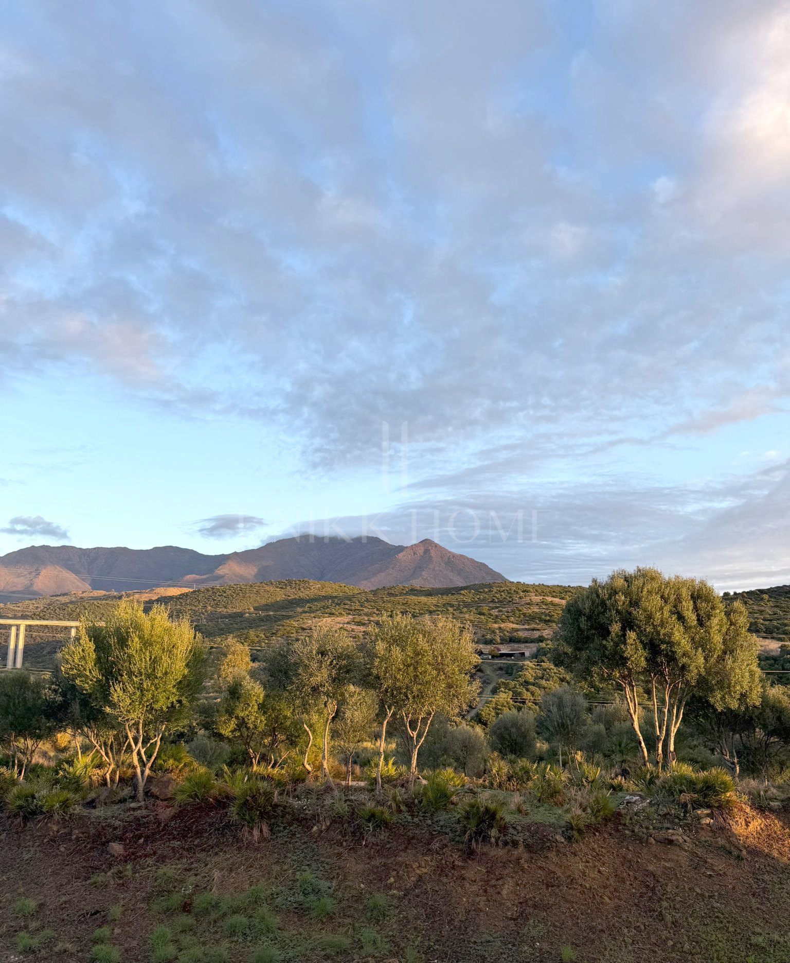 GRAN ADOSADO CON SÓTANO EXTRA EN ESTEPONA GOLF