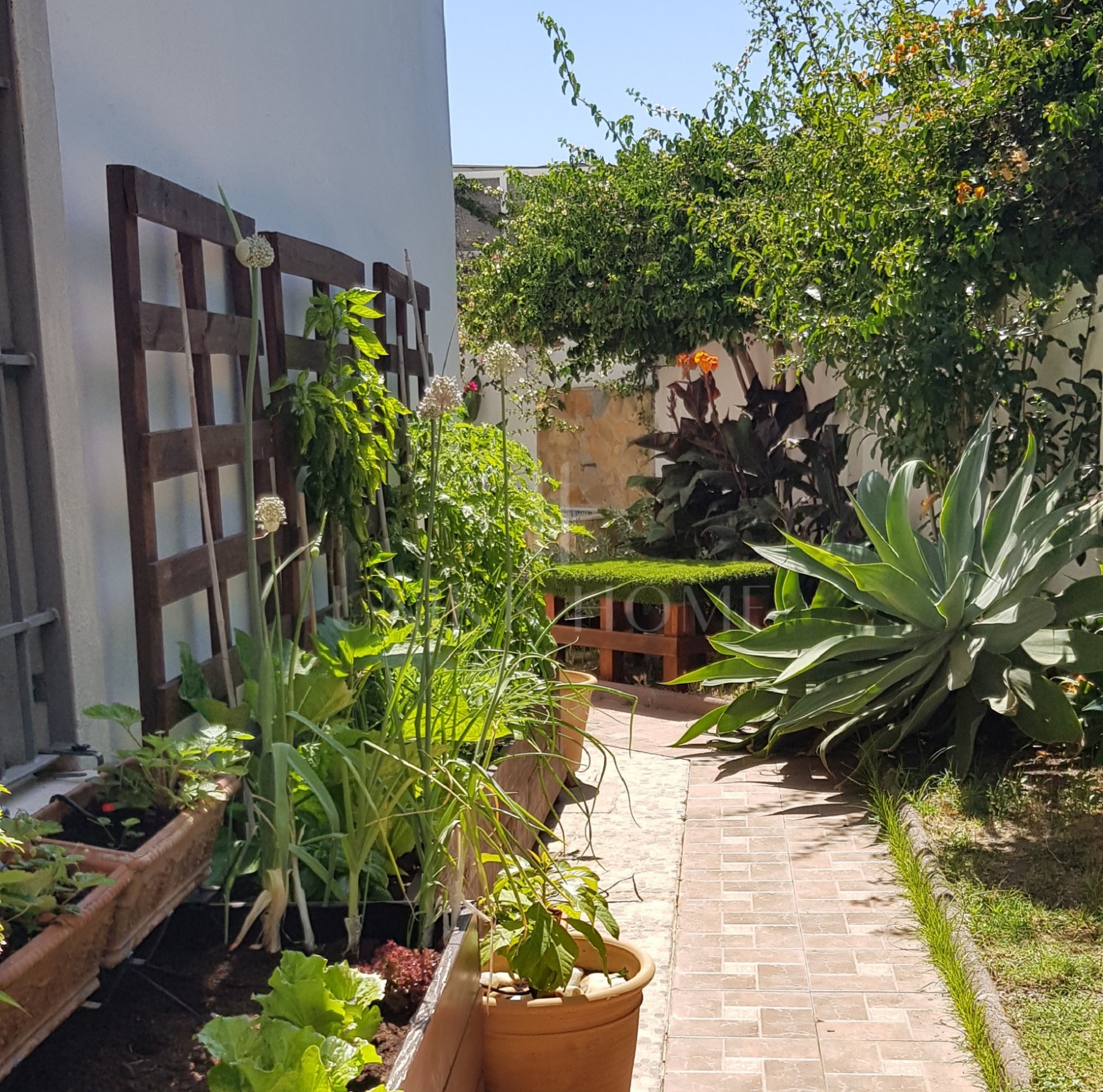 Spacious House with Garden in the Center of Estepona