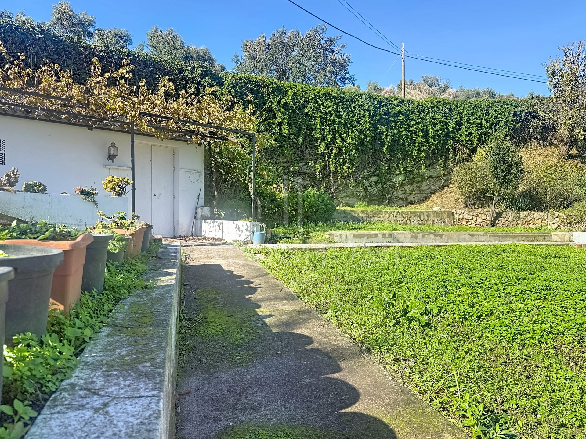 Country house in La Alberdina, East Estepona, with private pool and fruit orchard