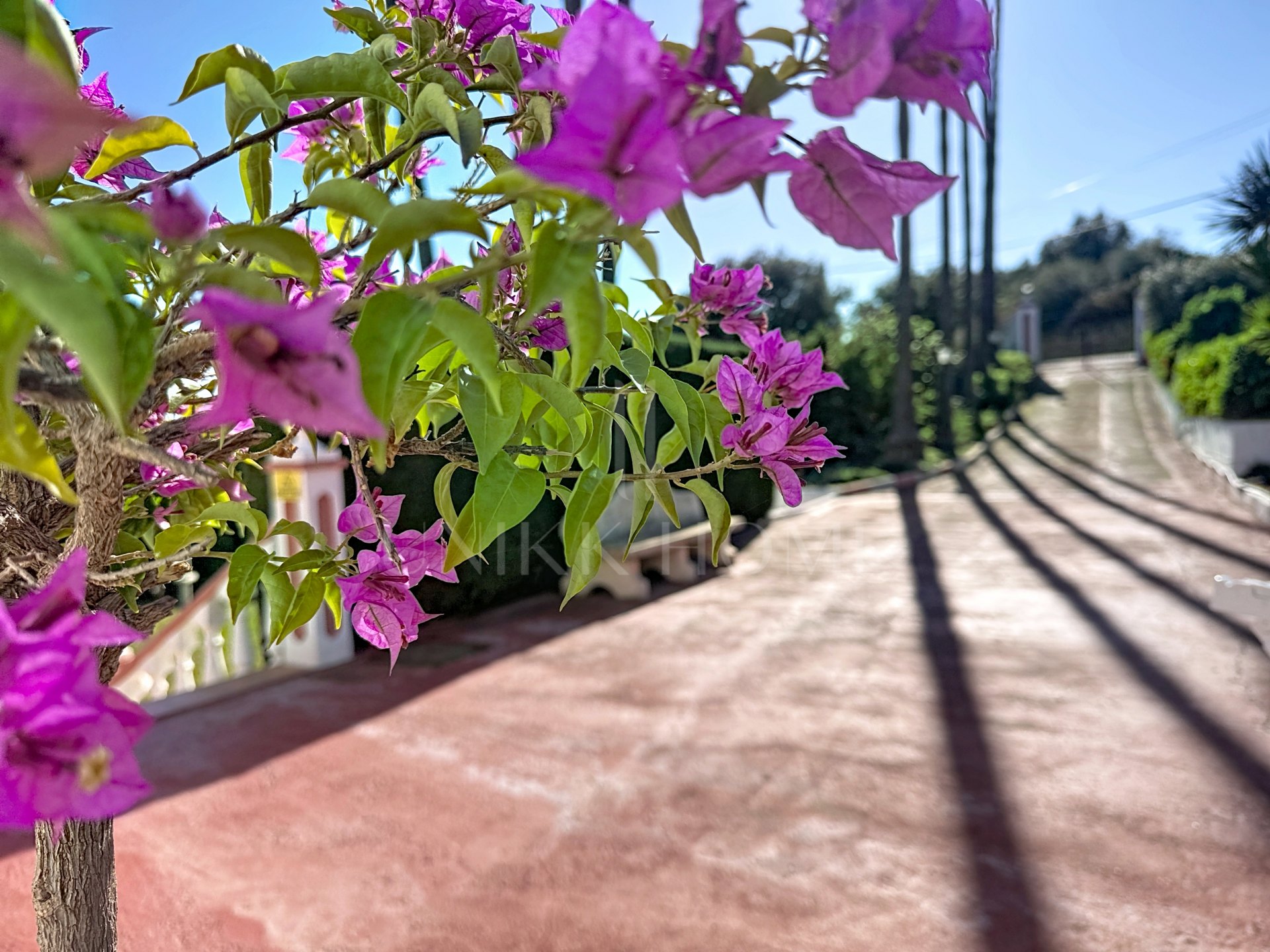 Country house in La Alberdina, East Estepona, with private pool and fruit orchard