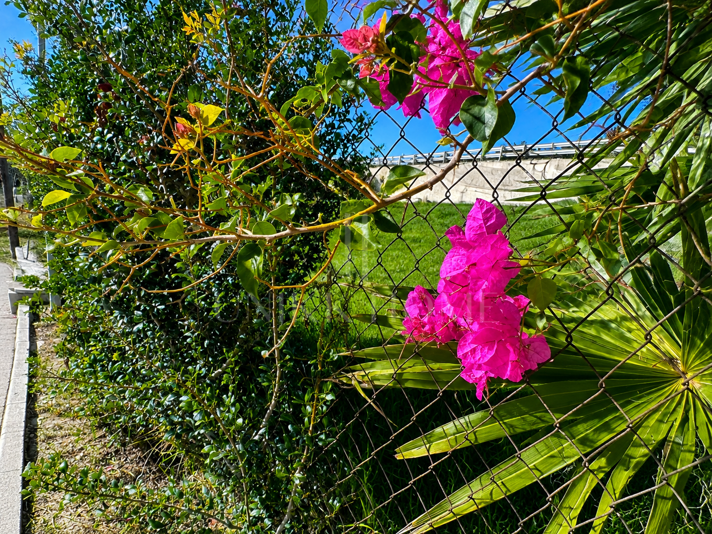 Beachfront Plot in Buenas Noches, Estepona