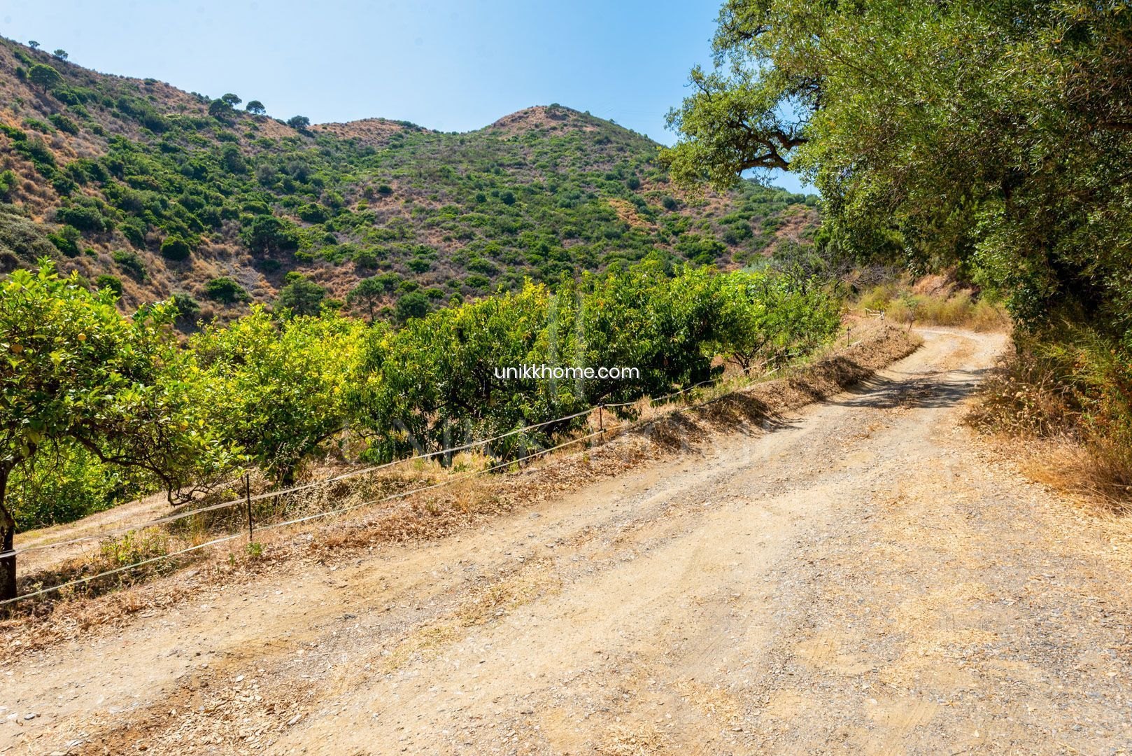 Beautiful farm with irrigated and rainfed fruit trees (agricultural use).