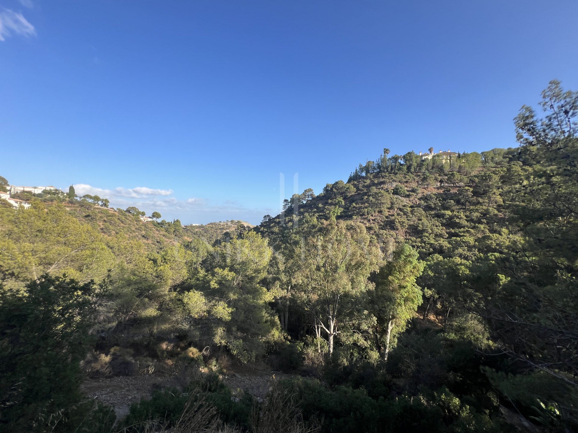 Parcela en venta en El Madroñal, Benahavis