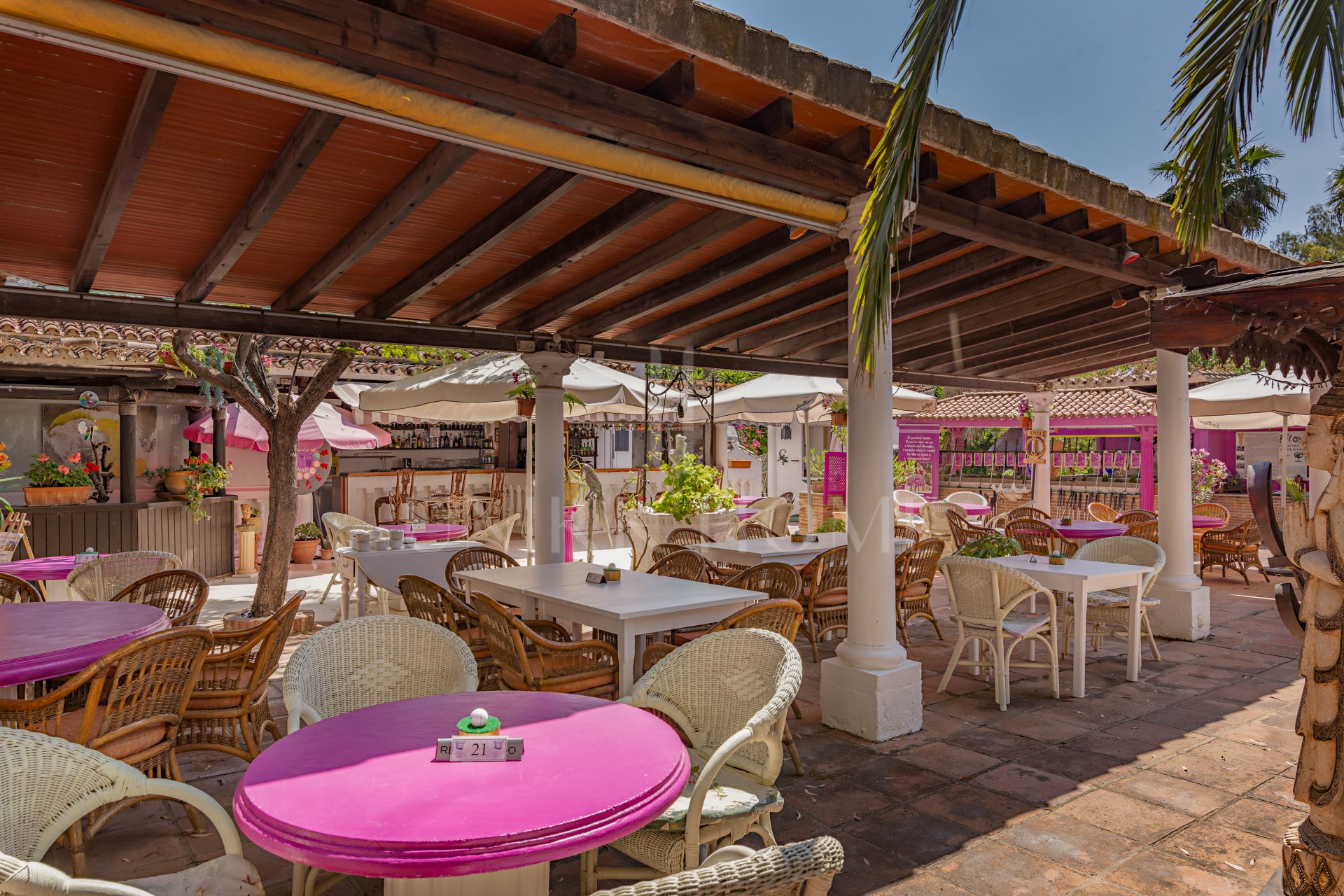 The Iconic Roman Oasis — Casares Costa