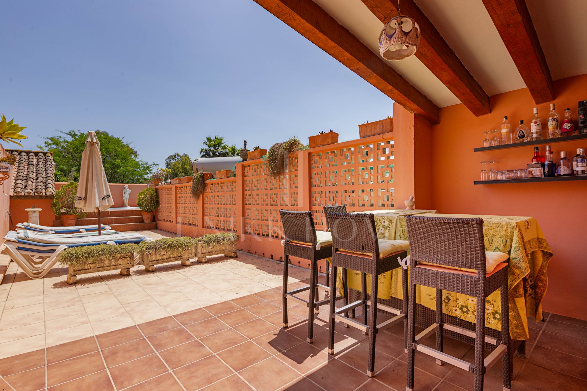 The Iconic Roman Oasis — Casares Costa