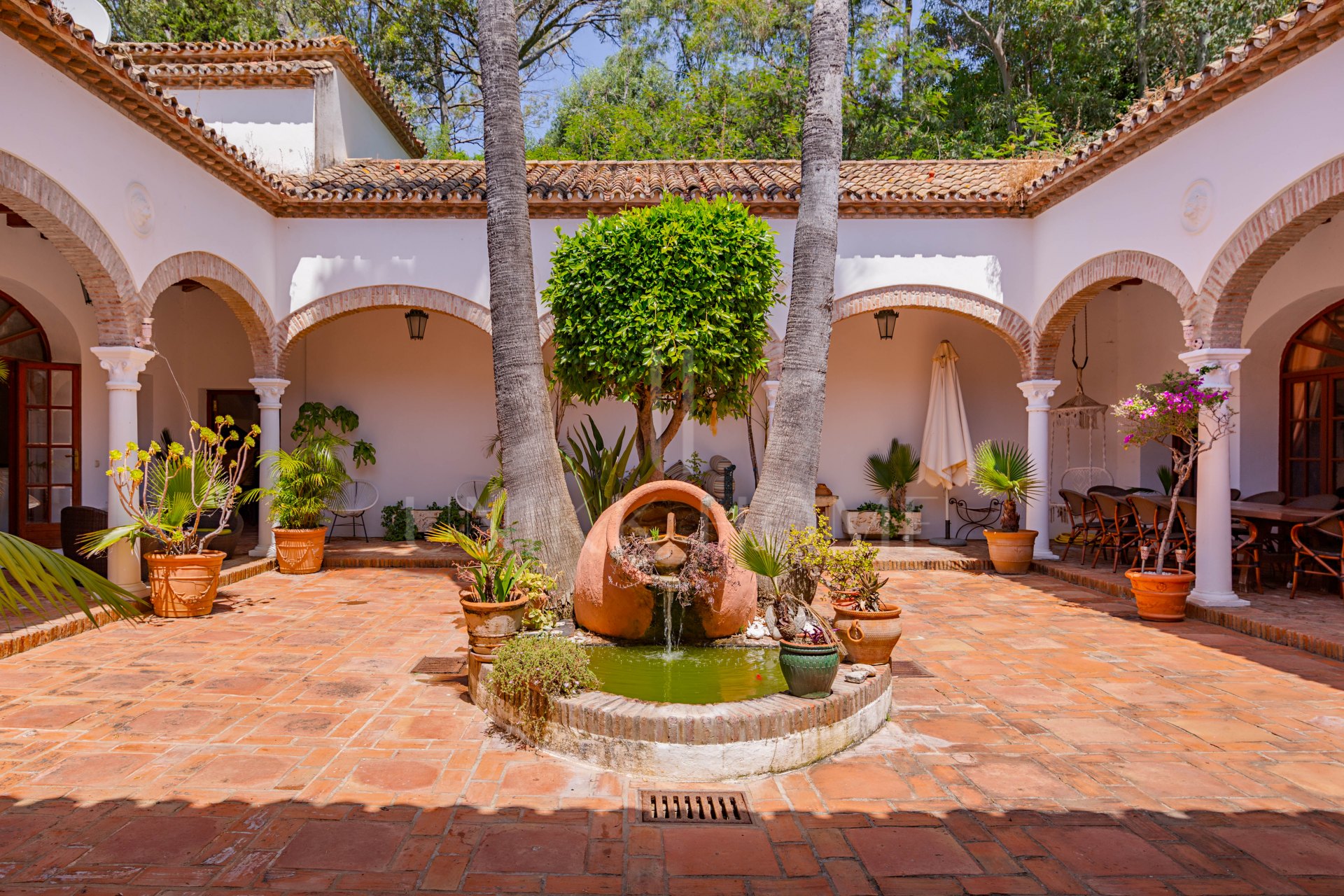 The Iconic Roman Oasis — Casares Costa