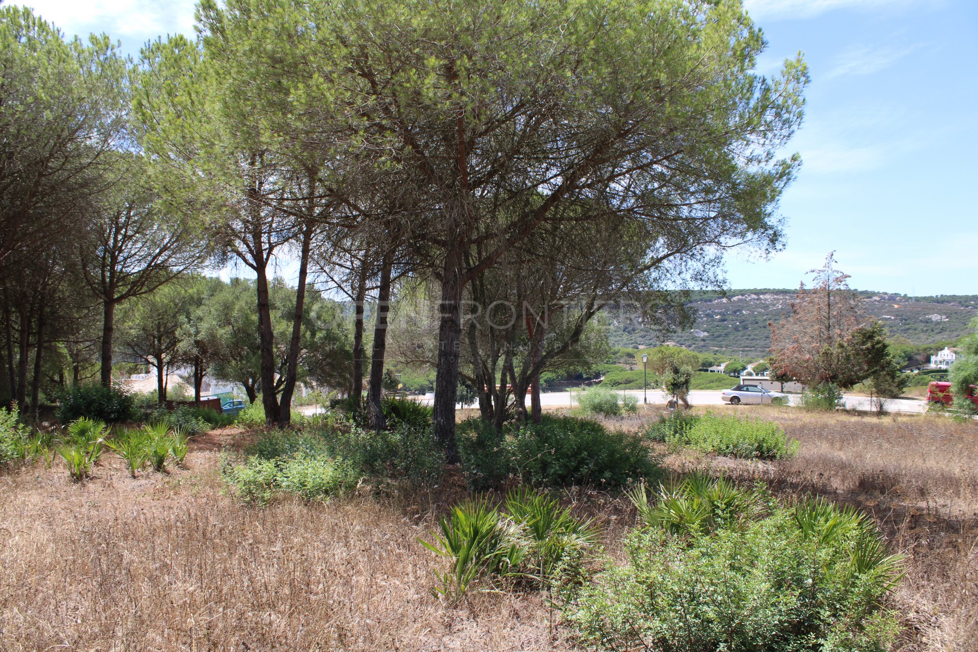 Plot with Golf Views in Sotogrande Alto