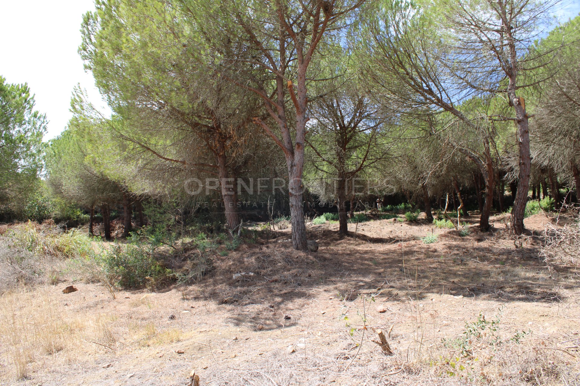 Terrain avec vue sur la mer et le golf à Sotogrande