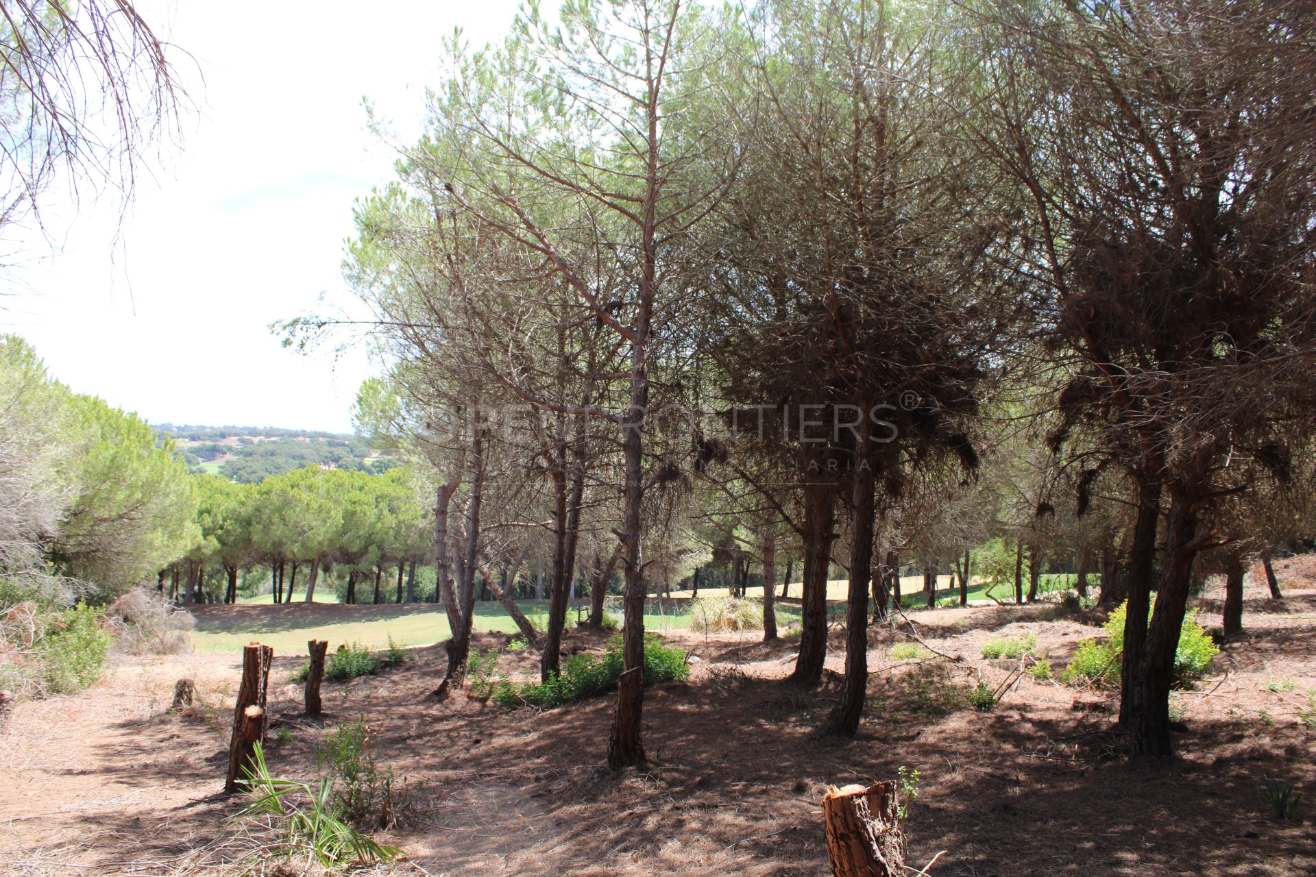Terrain avec vue sur la mer et le golf à Sotogrande