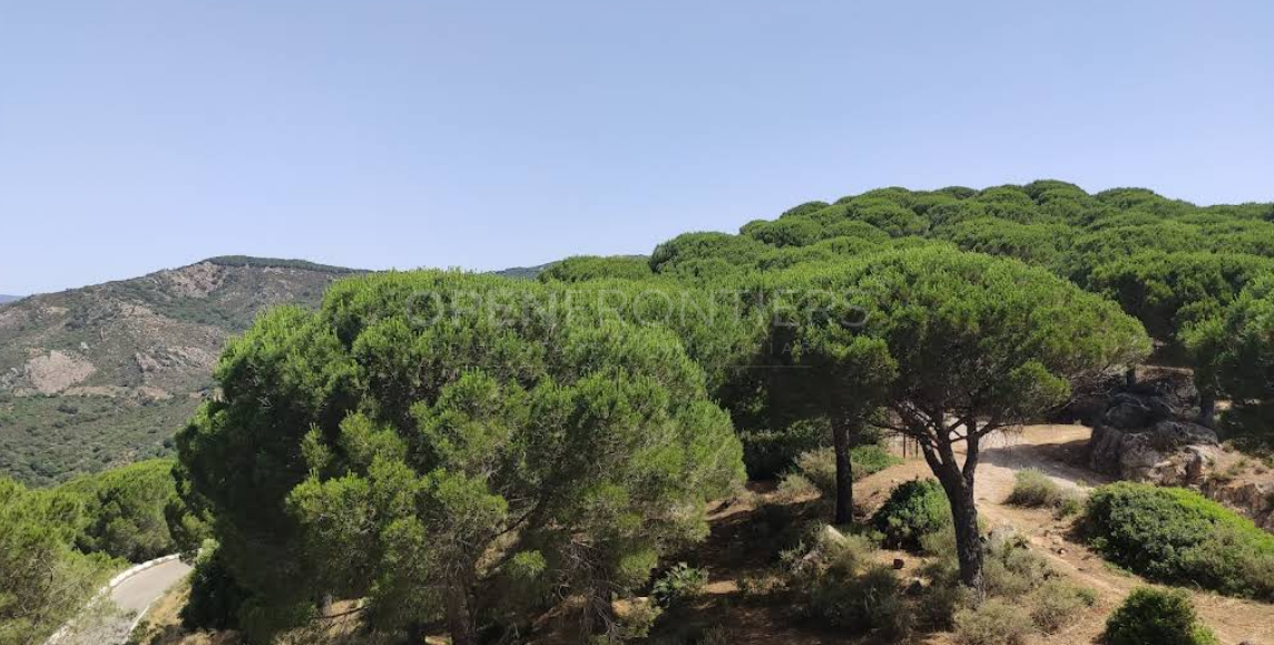 Parcela de Finca Única con Fachada Fluvial y Potencial de Desarrollo en Jimena de La Frontera