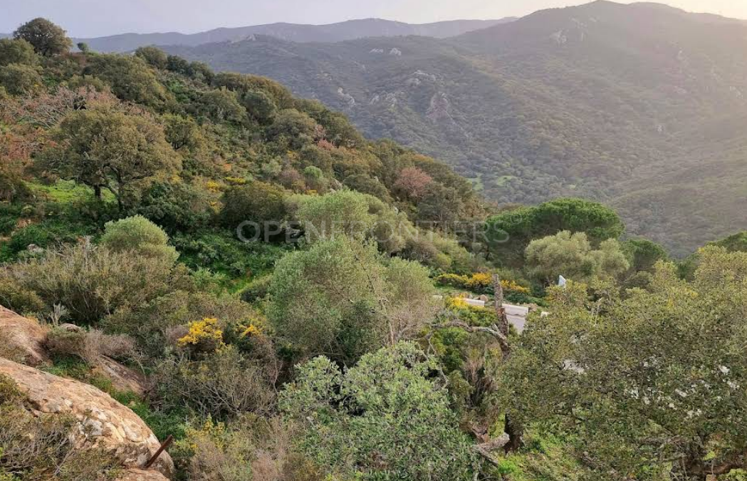 Parcela de Finca Única con Fachada Fluvial y Potencial de Desarrollo en Jimena de La Frontera