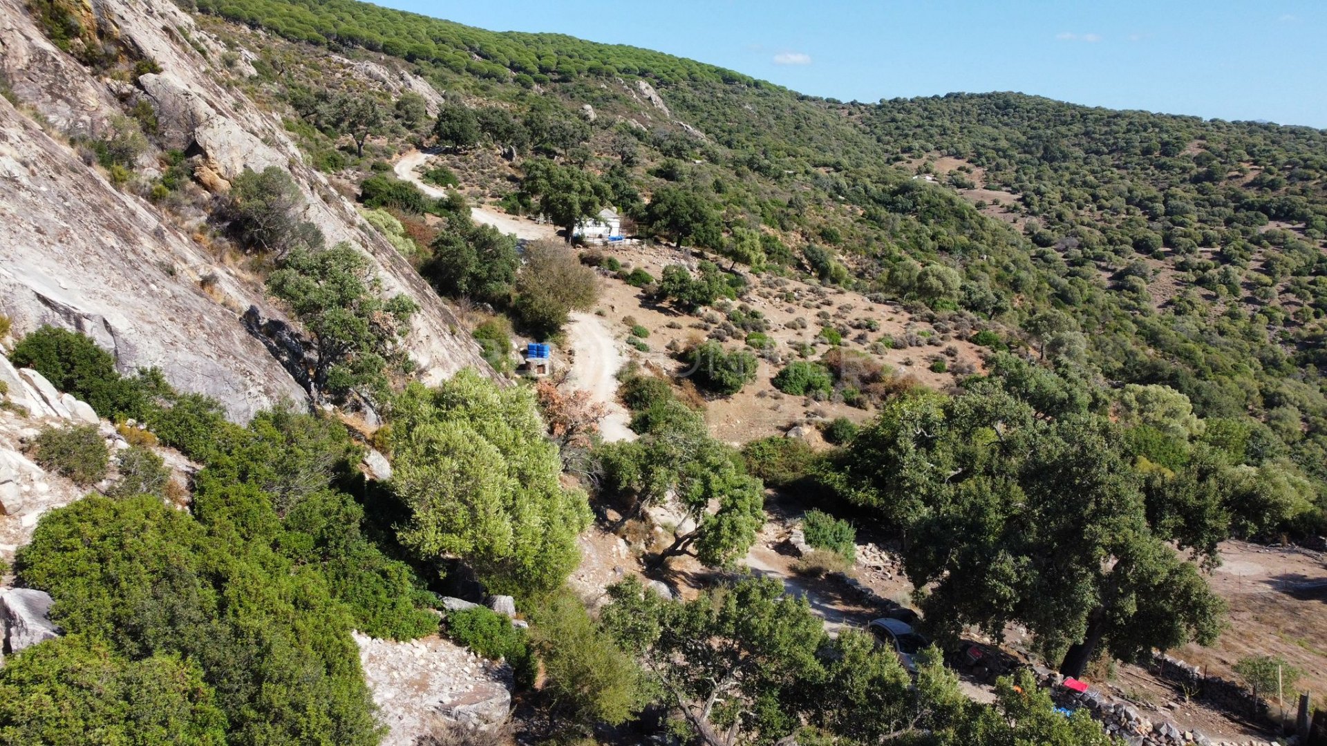 Parcela de Finca Única con Fachada Fluvial y Potencial de Desarrollo en Jimena de La Frontera