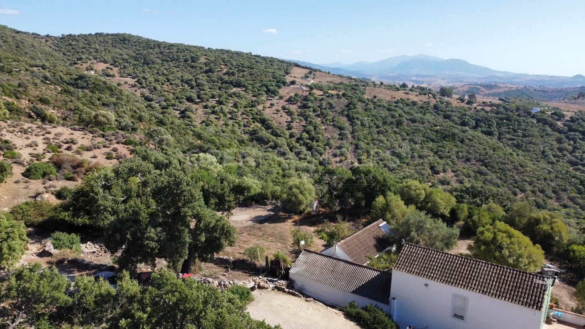 Parcela de Finca Única con Fachada Fluvial y Potencial de Desarrollo en Jimena de La Frontera
