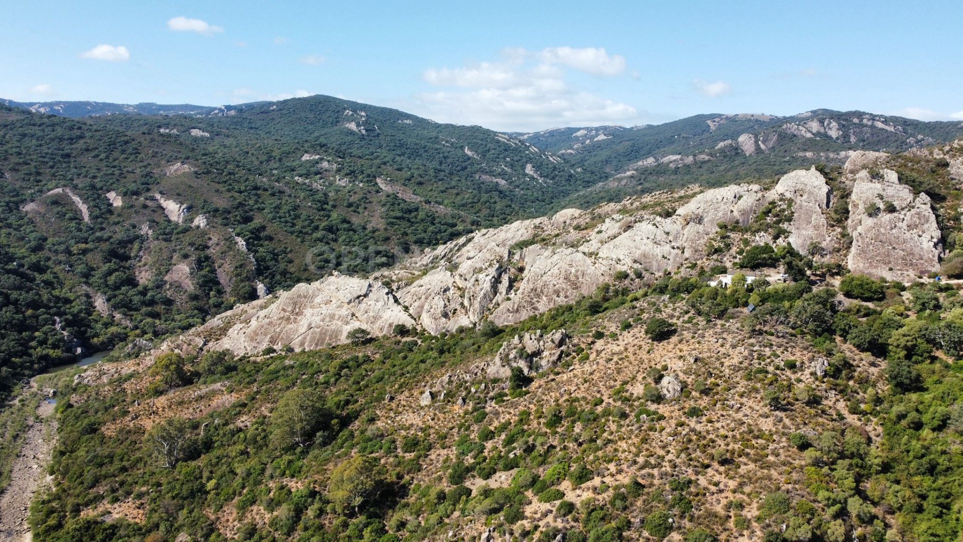 Parcela de Finca Única con Fachada Fluvial y Potencial de Desarrollo en Jimena de La Frontera