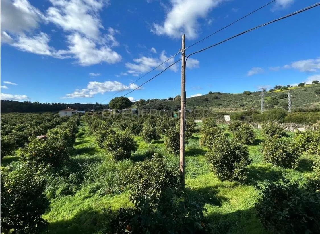 Finca rústica en venta cerca de Sotogrande con casa y terreno