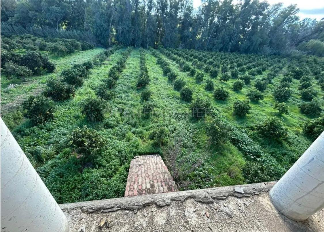 Finca rústica en venta cerca de Sotogrande con casa y terreno