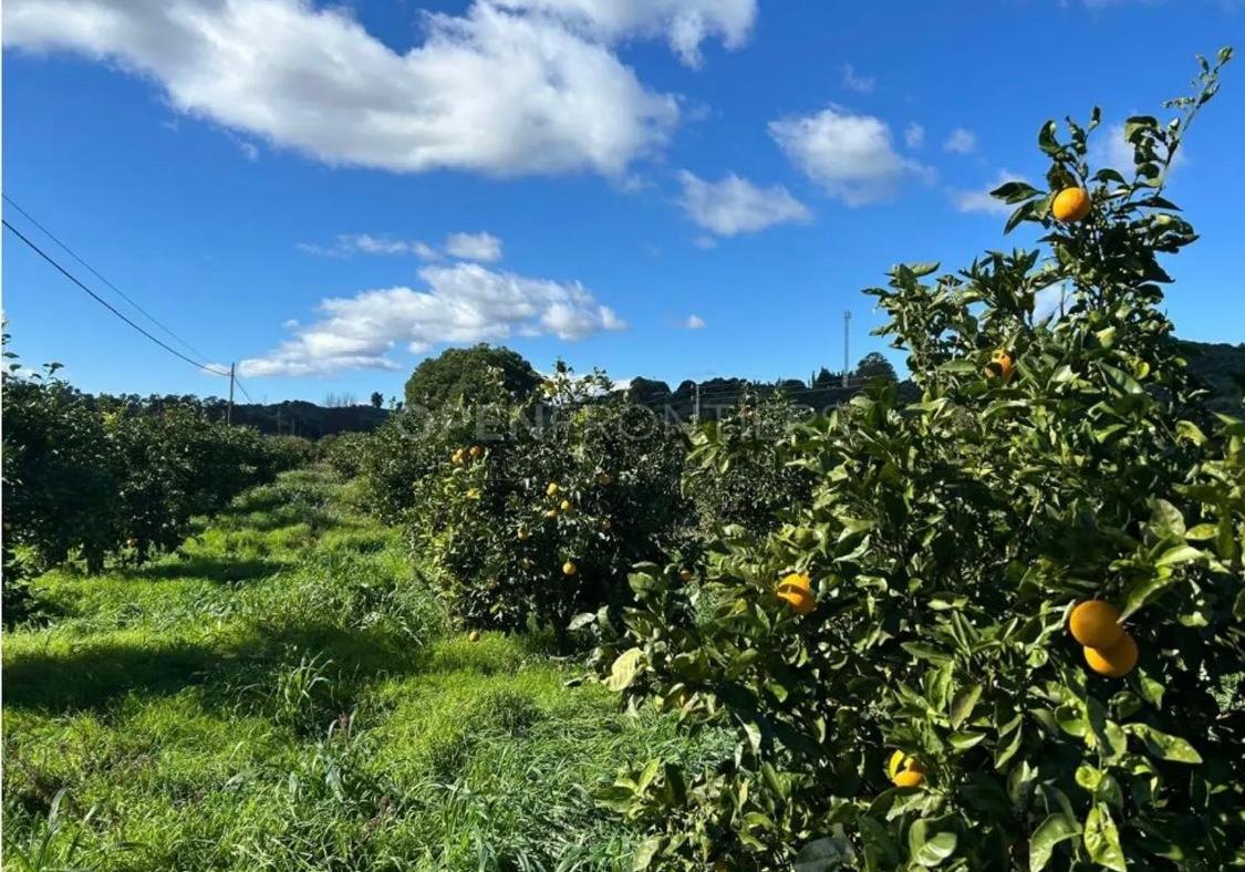 Finca rústica en venta cerca de Sotogrande con casa y terreno