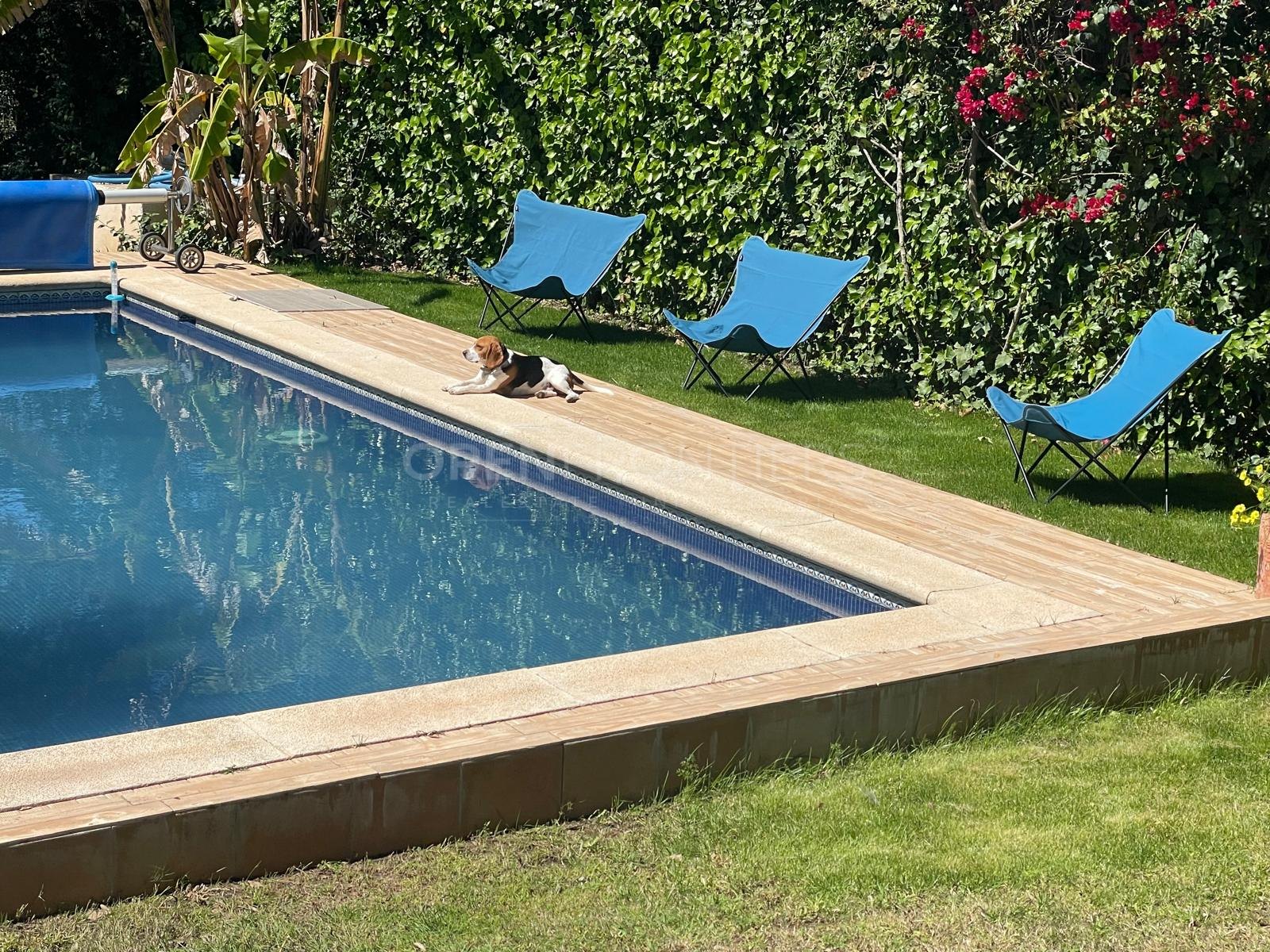 Charmante westgerichte villa in Zona C, Sotogrande Alto