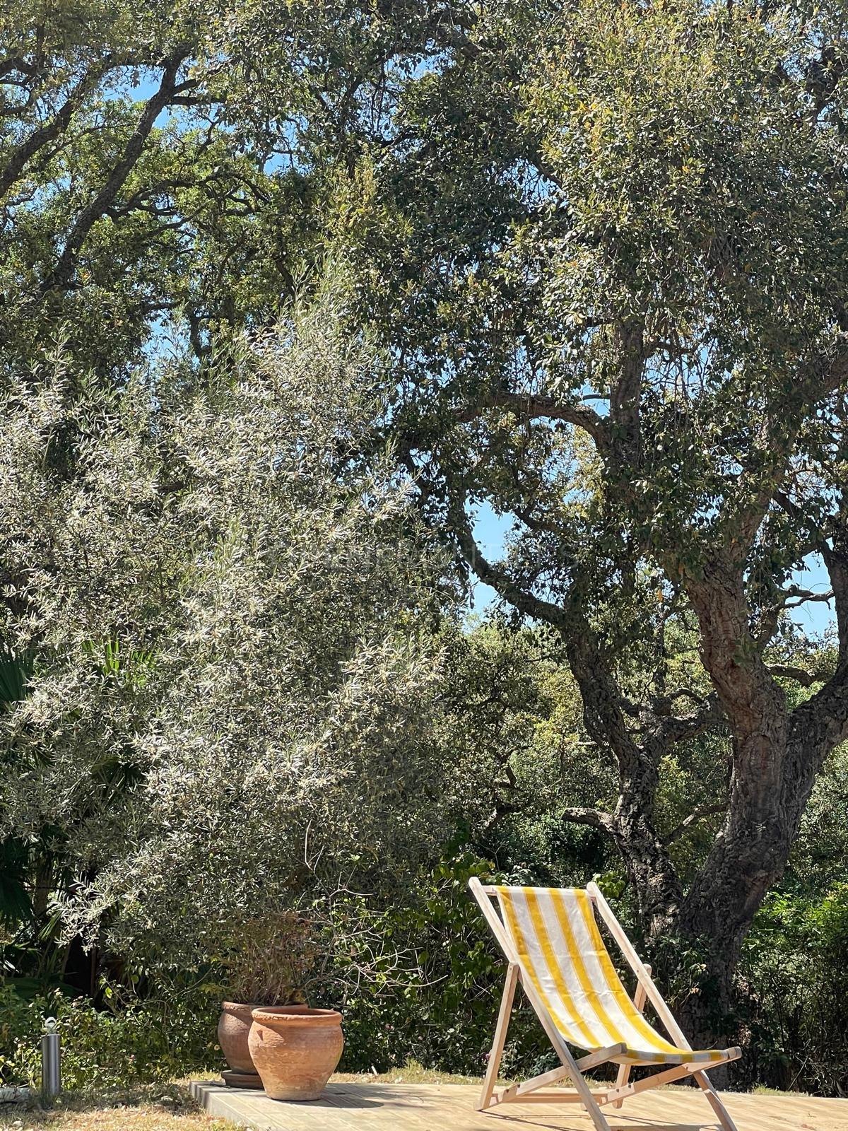 Charmante westgerichte villa in Zona C, Sotogrande Alto