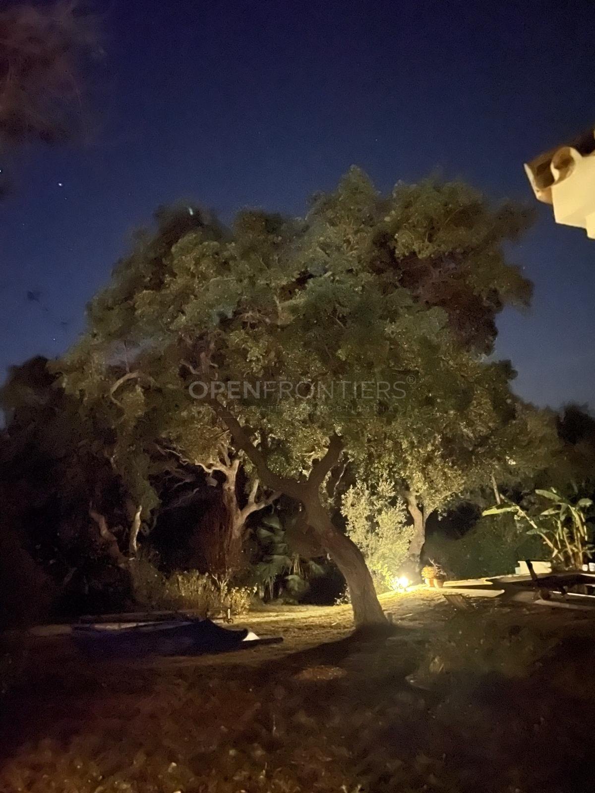 Charmante westgerichte villa in Zona C, Sotogrande Alto