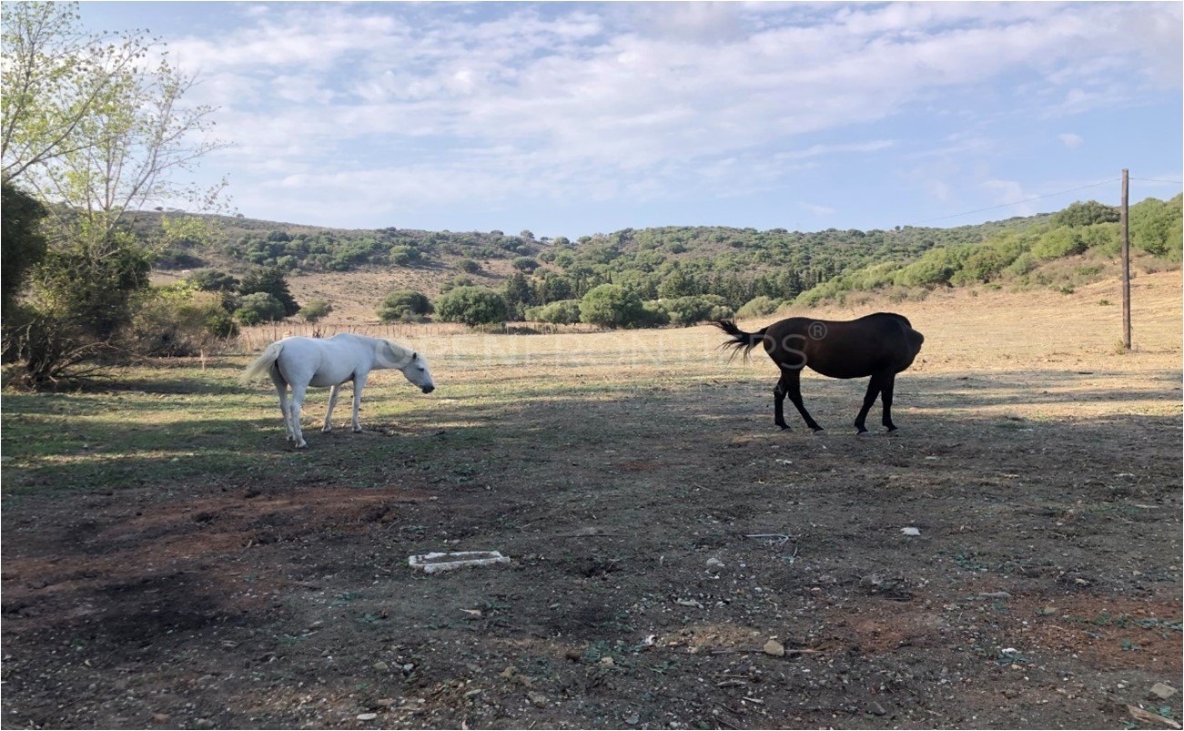 Finca Aguadulce – An Exceptional Country Estate Near Sotogrande