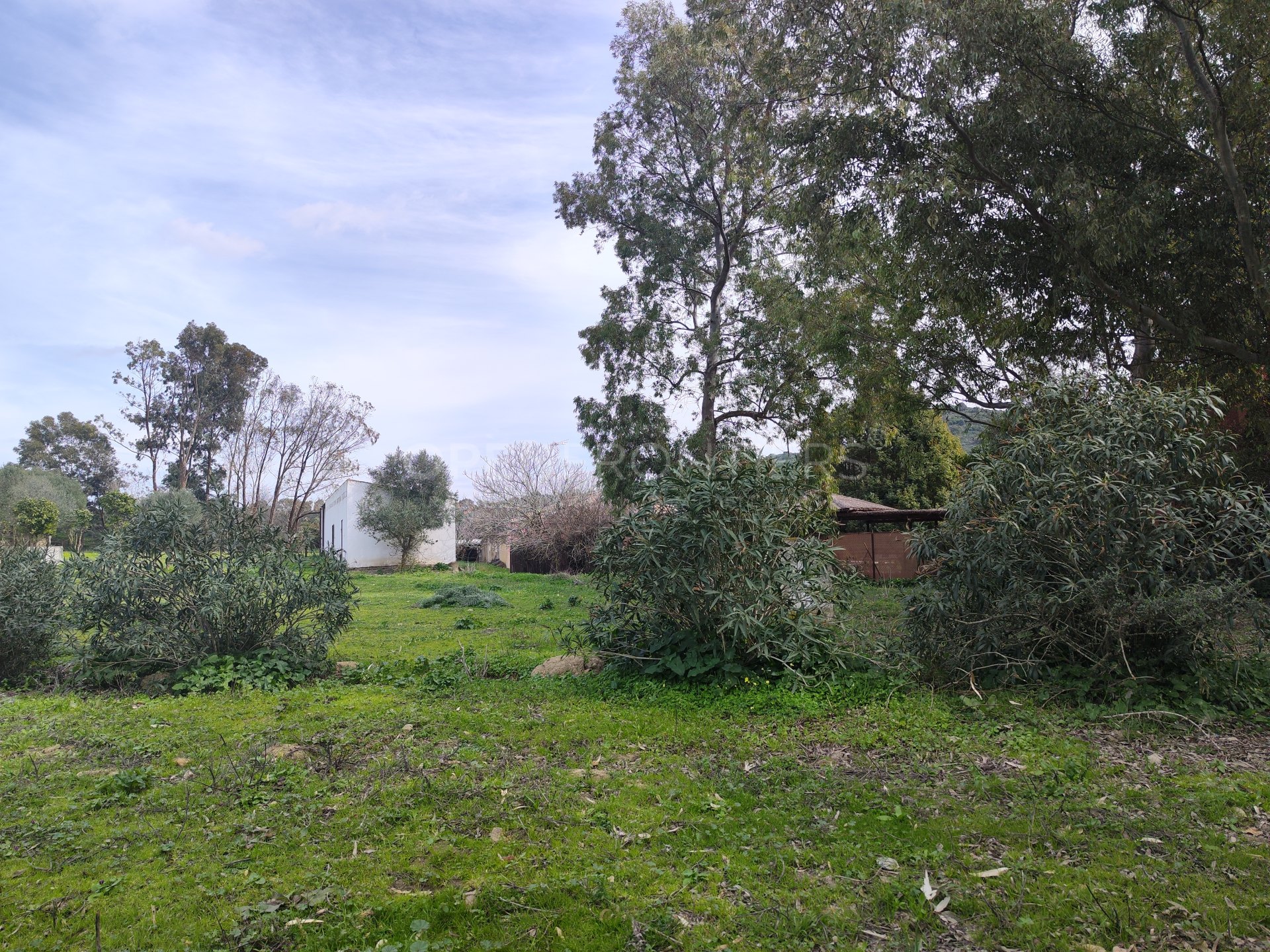 Finca Aguadulce – An Exceptional Country Estate Near Sotogrande