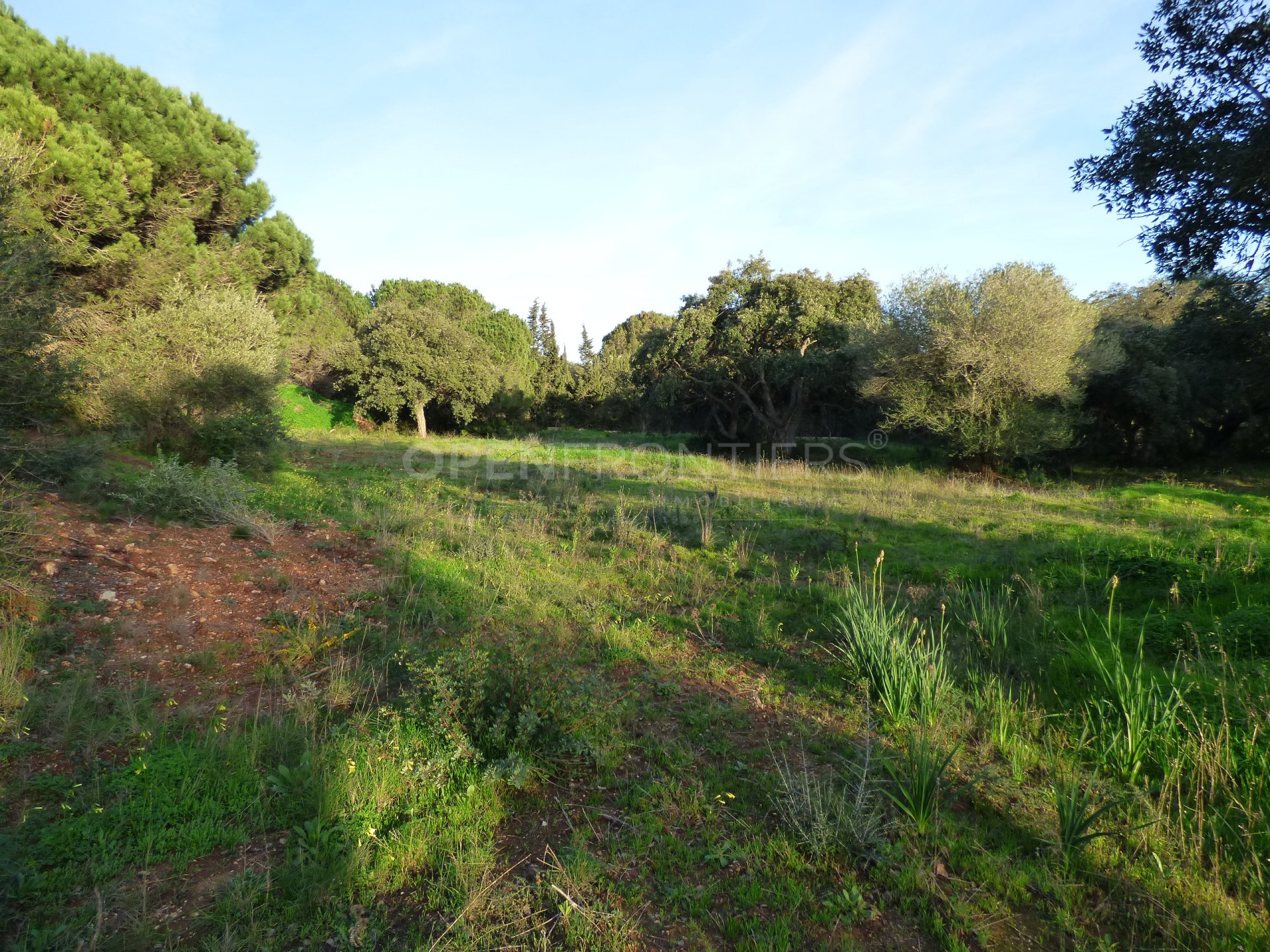 Exceptional Frontline Golf Plot in Altos de Valderrama, Sotogrande